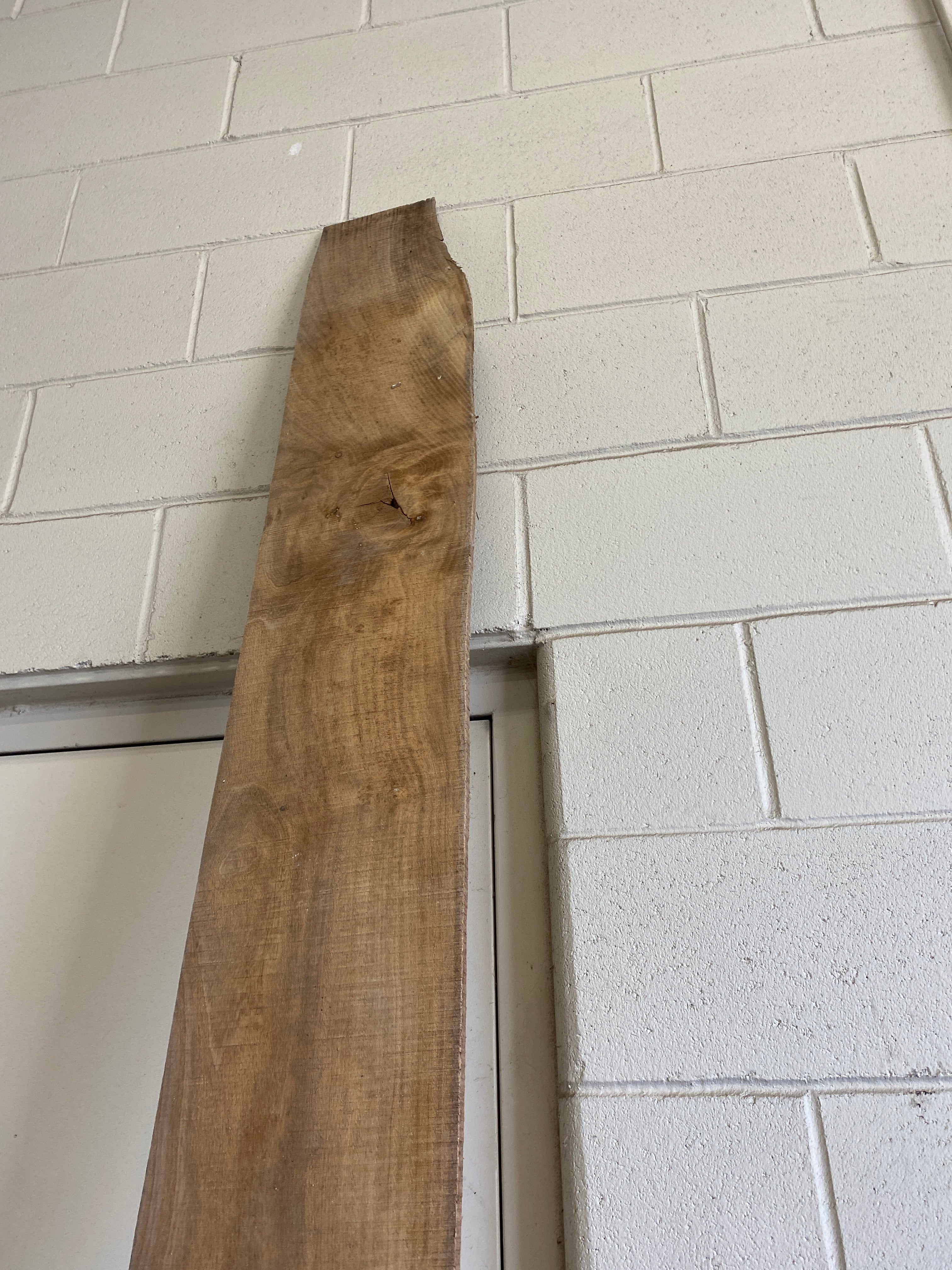 MSU Shadows Flat Board Unknown Species Slab Wood #35