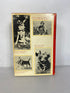 Understanding Your Dog by Michael W. Fox 1972 HC DJ