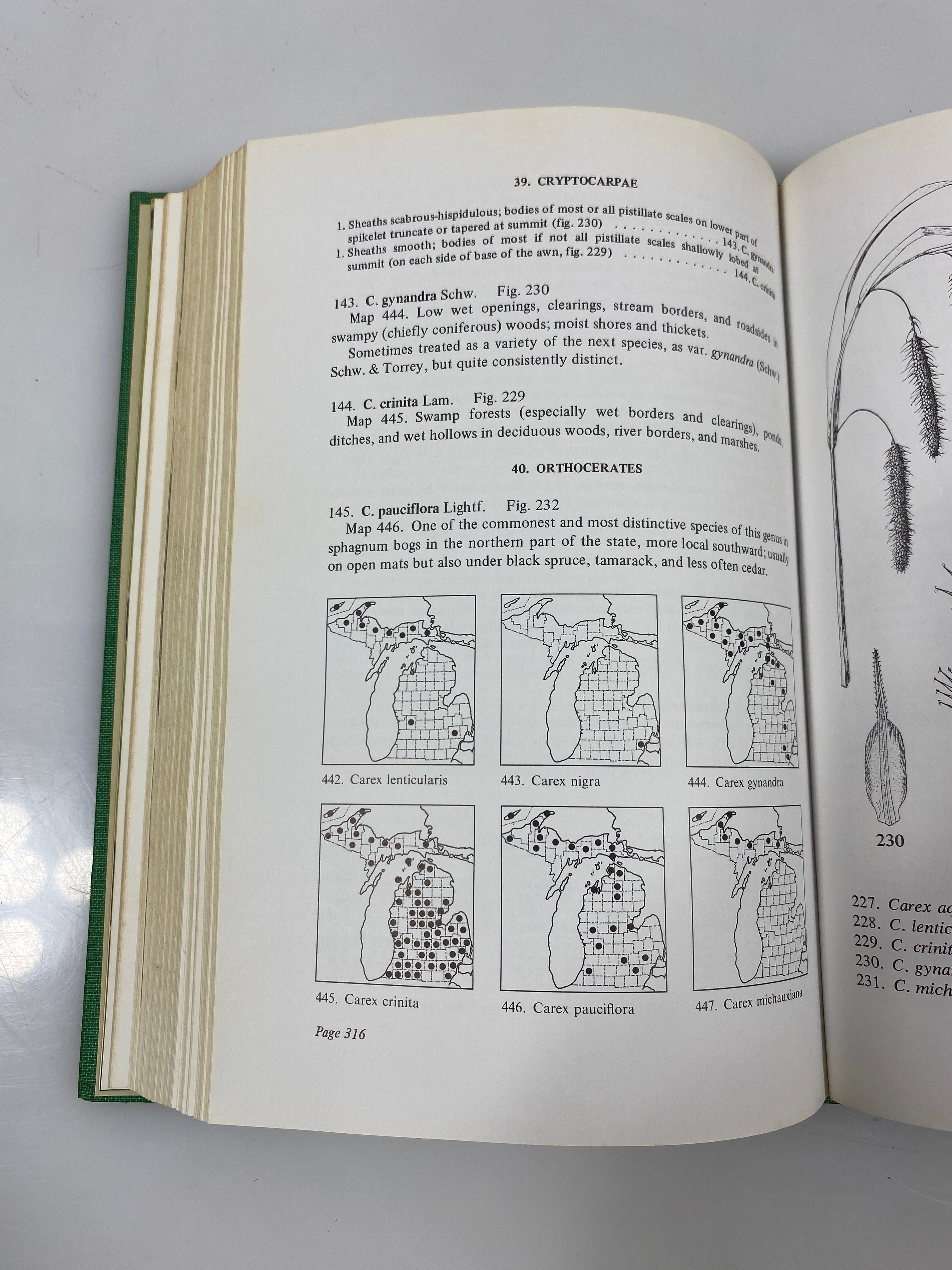 Lot of 2: Michigan Flora/Ferns of Michigan Cranbrook Institute of Science HC