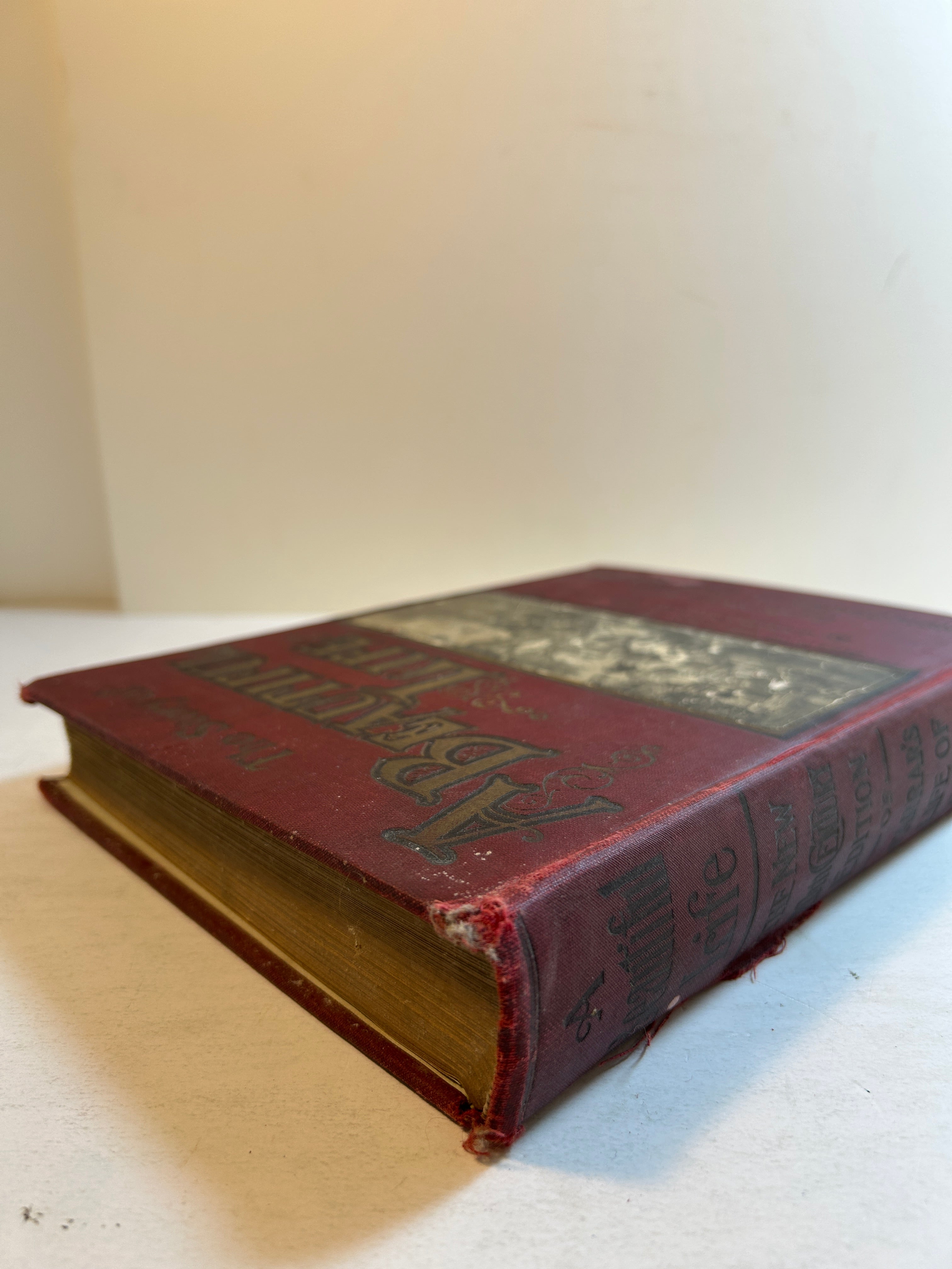 The Story of a Beautiful Life by Canon Farrar 1900 Henry Neil HC