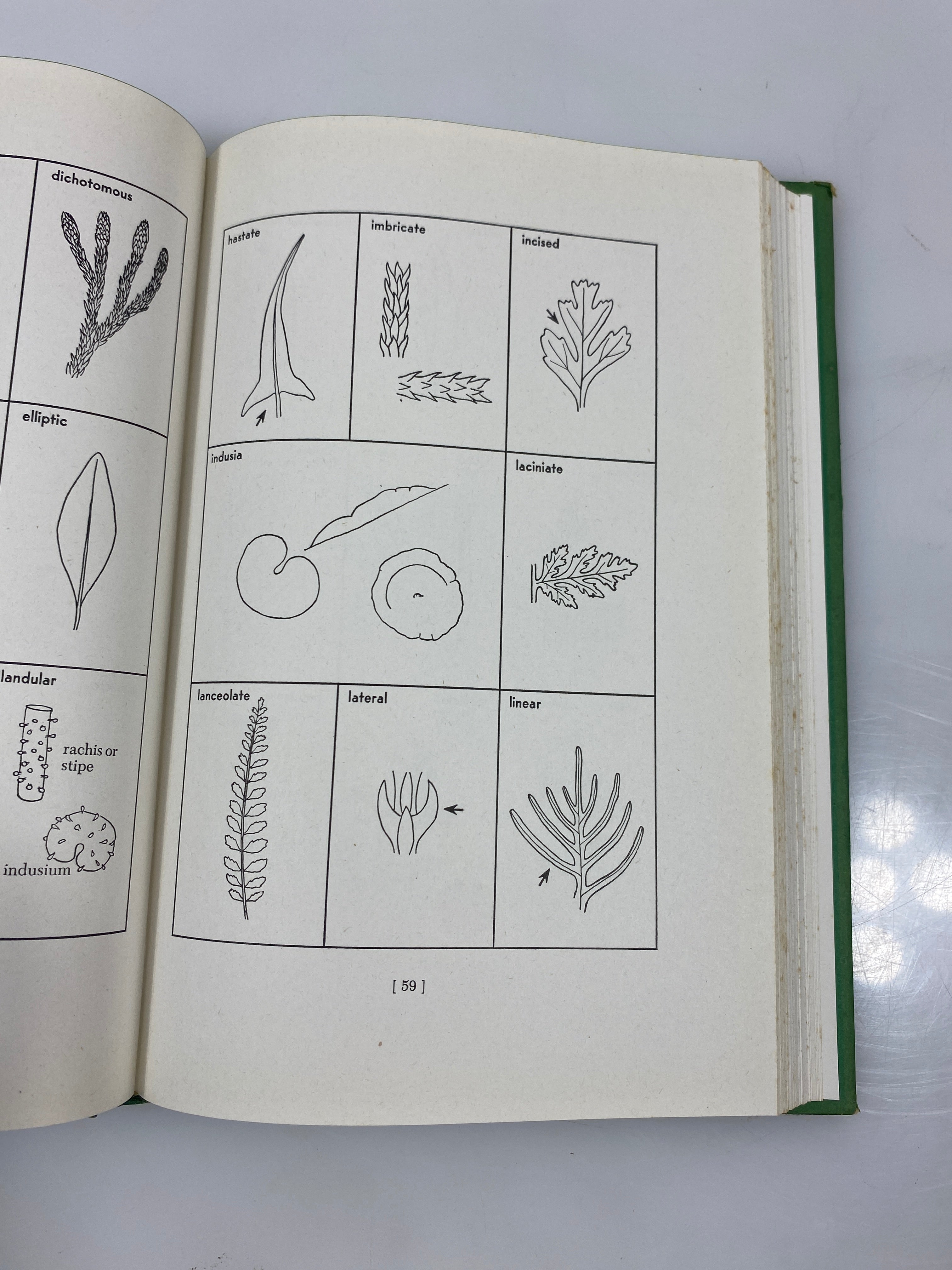Lot of 2: Michigan Flora/Ferns of Michigan Cranbrook Institute of Science HC