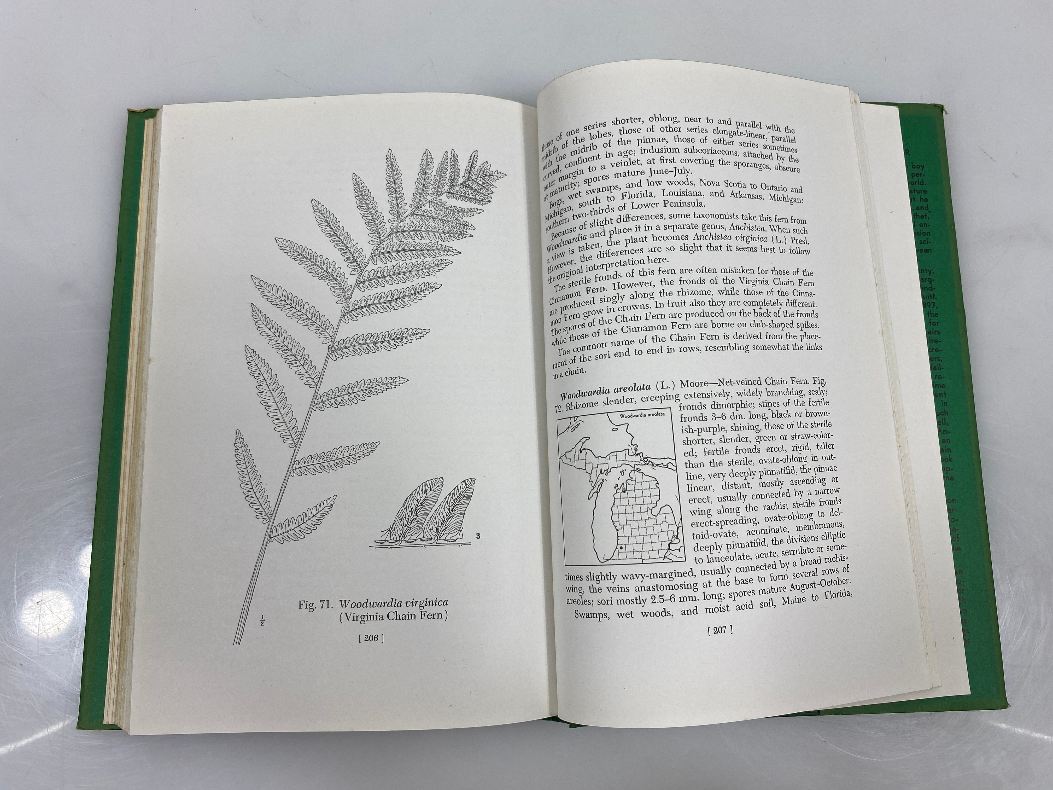 Lot of 2: Michigan Flora/Ferns of Michigan Cranbrook Institute of Science HC