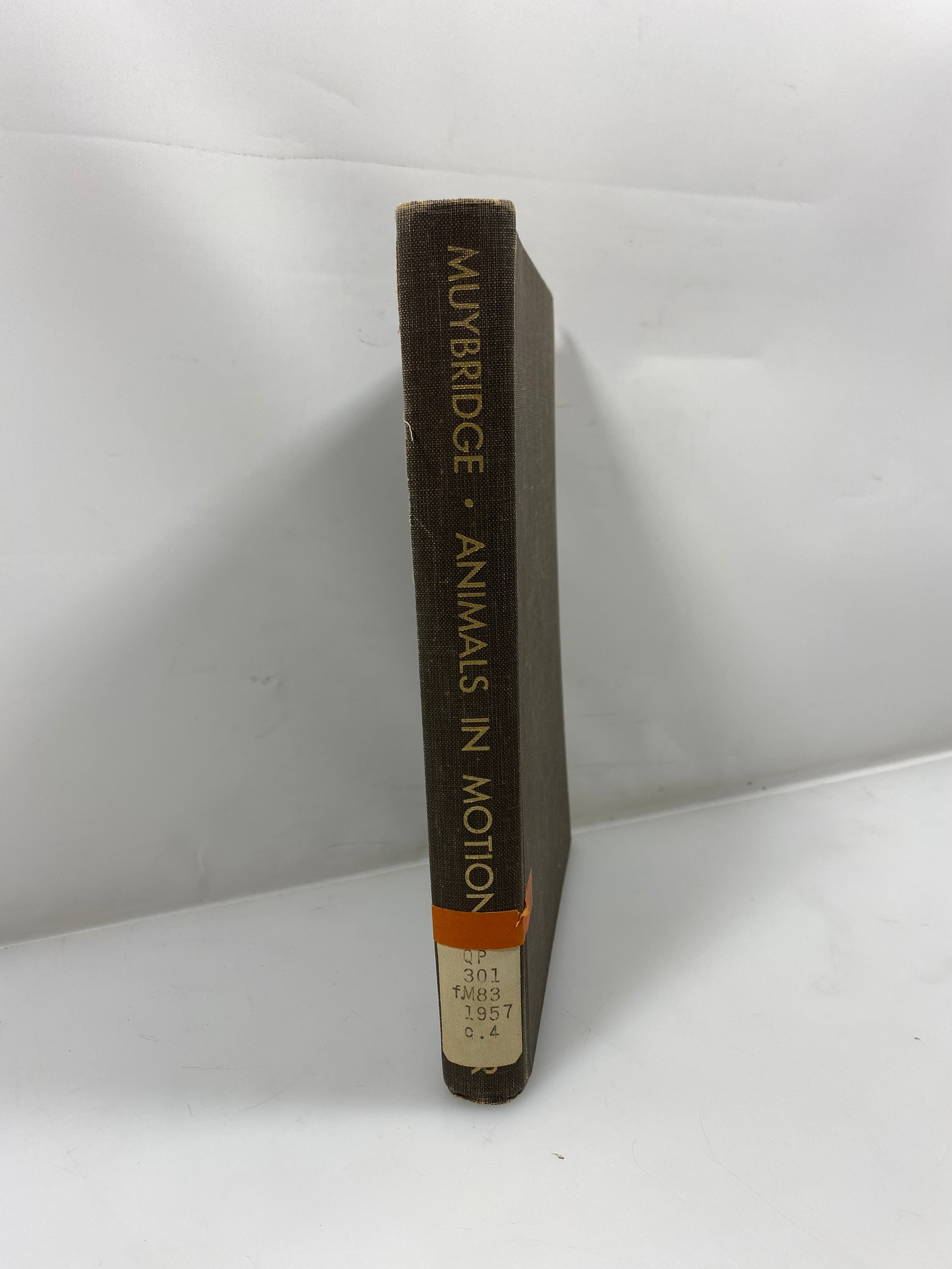 Animals in Motion by Muybridge Ex-library 1957 HC