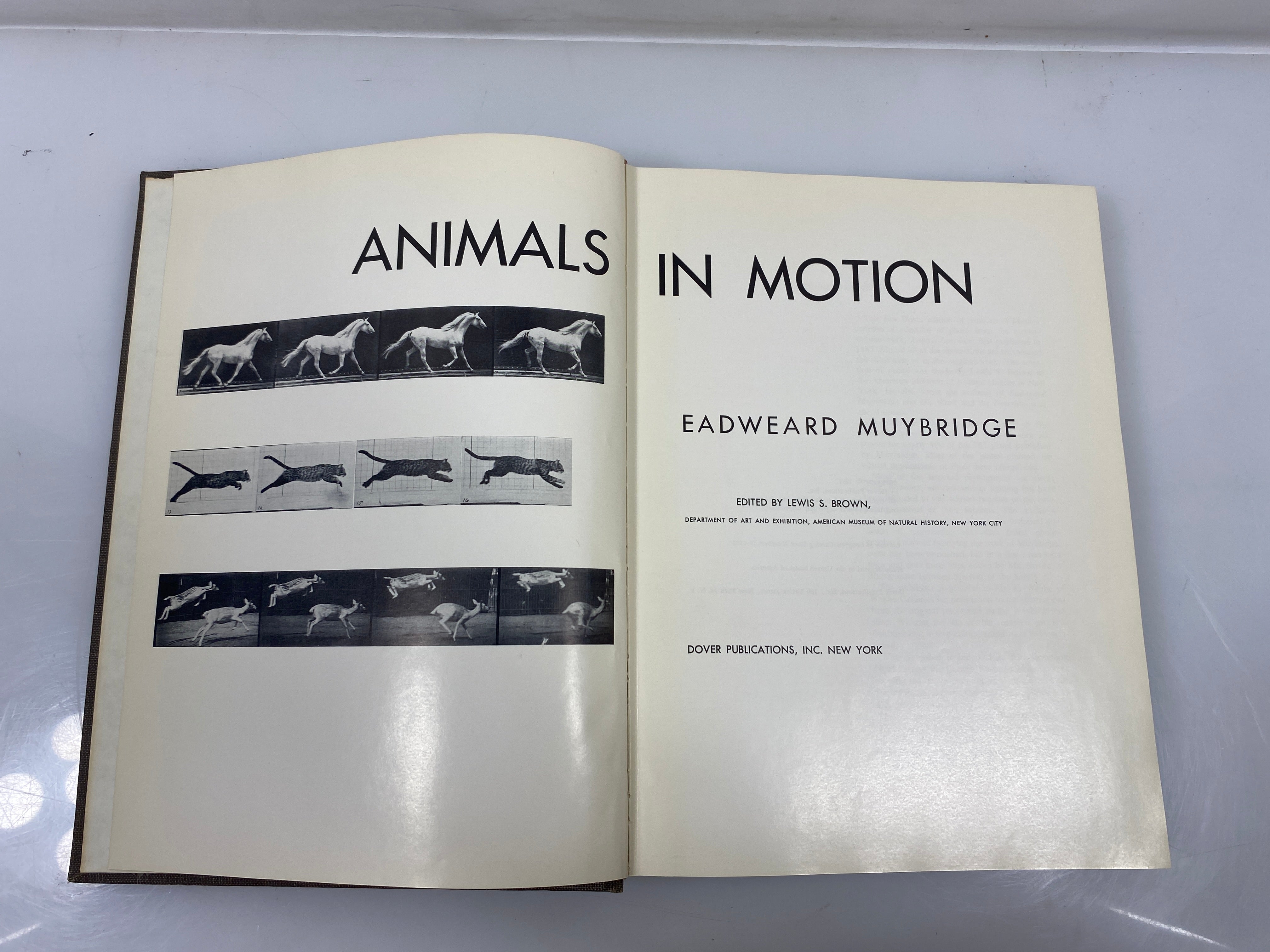 Animals in Motion by Muybridge Ex-library 1957 HC