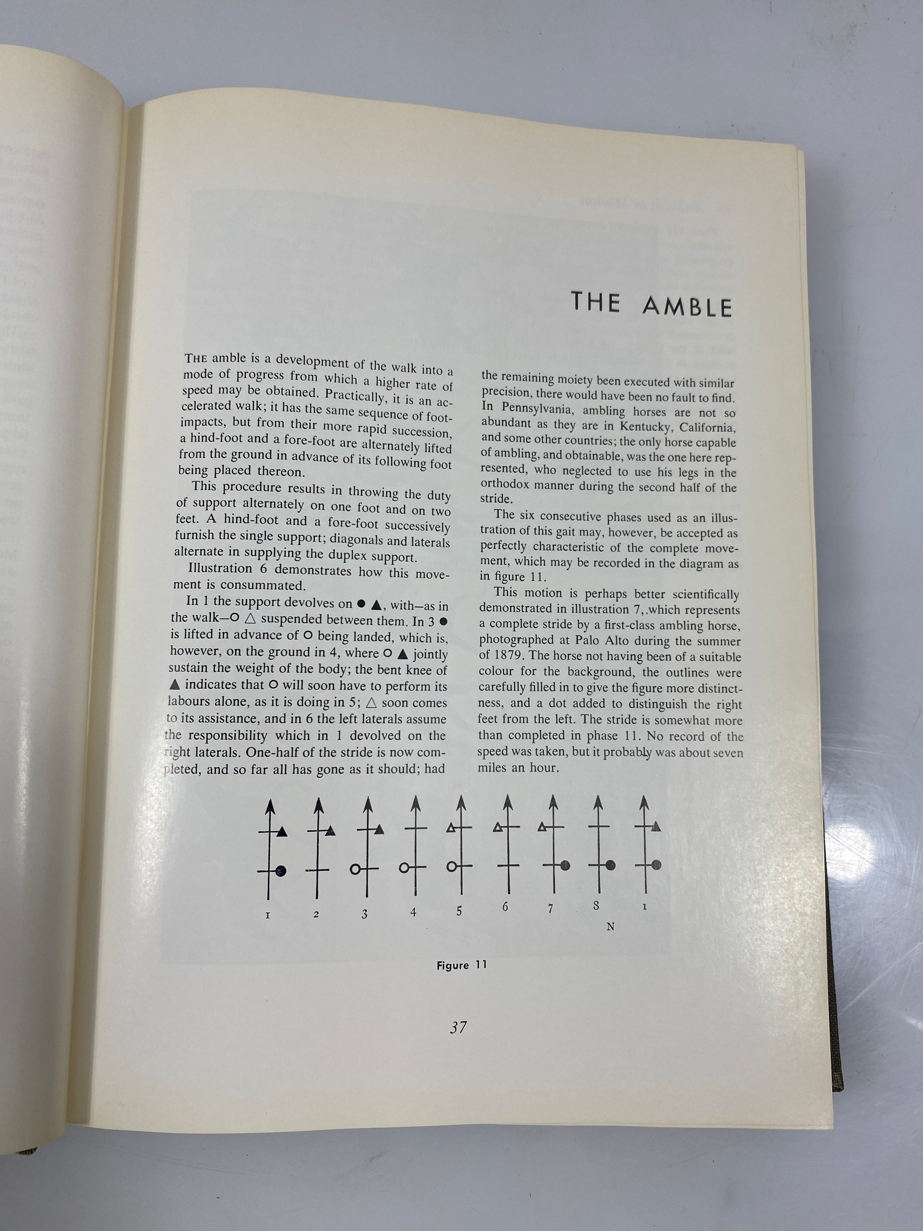 Animals in Motion by Muybridge Ex-library 1957 HC