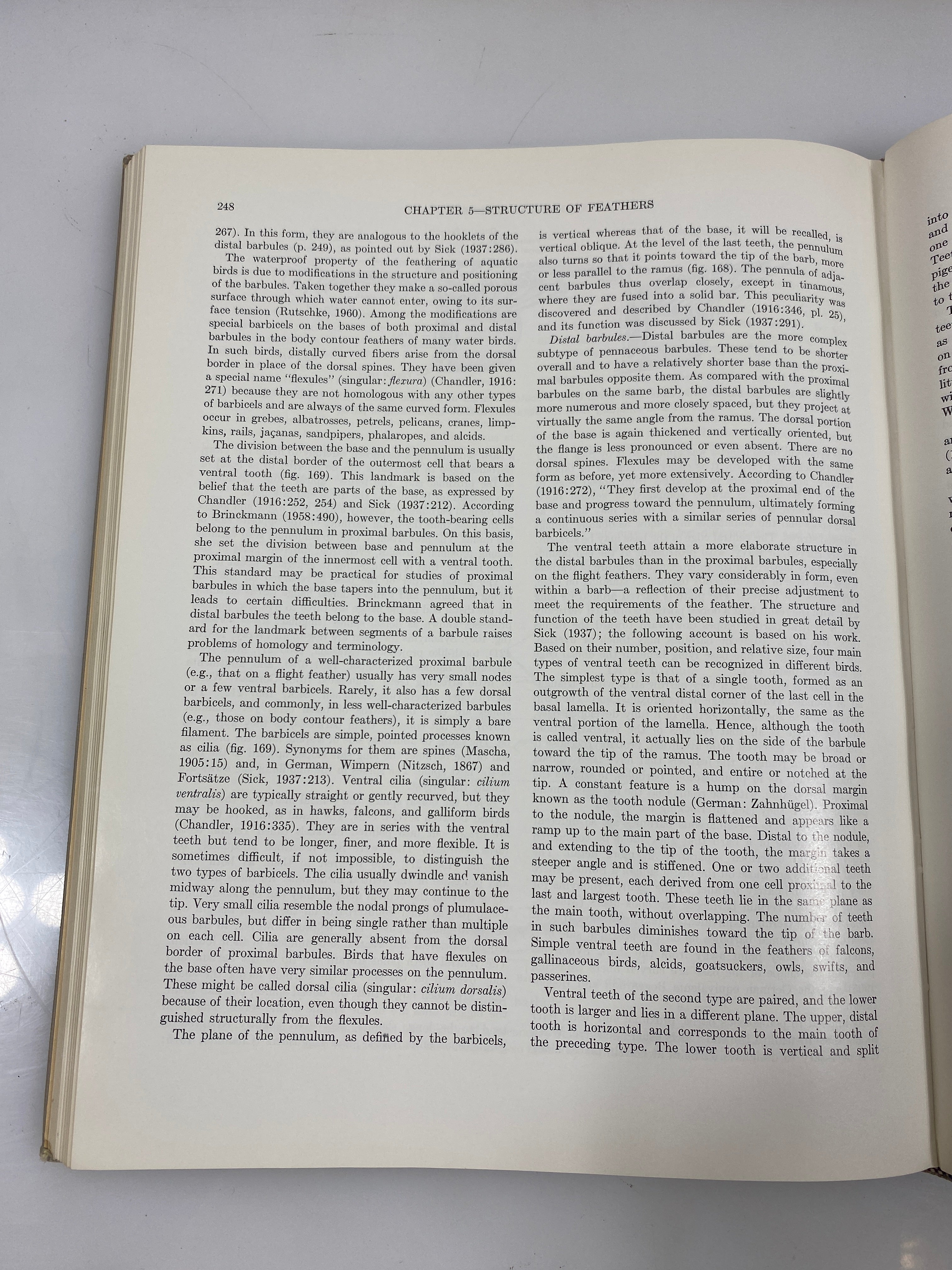 Avian Anatomy Integument Part I Lucas/Stettenheim 1972 HC