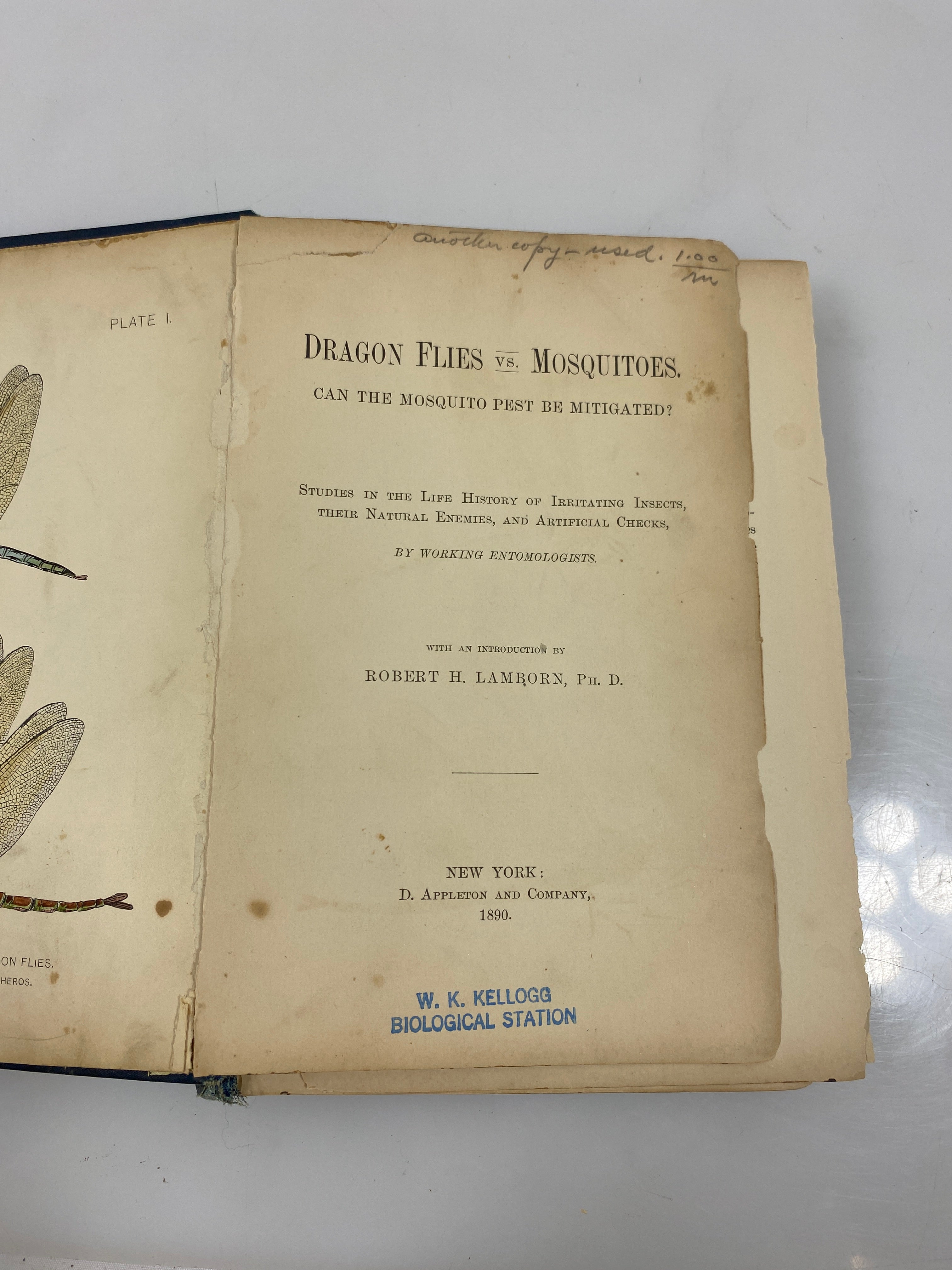 Dragon Flies vs Mosquitoes by Lamborn Ex-library 1890 HC
