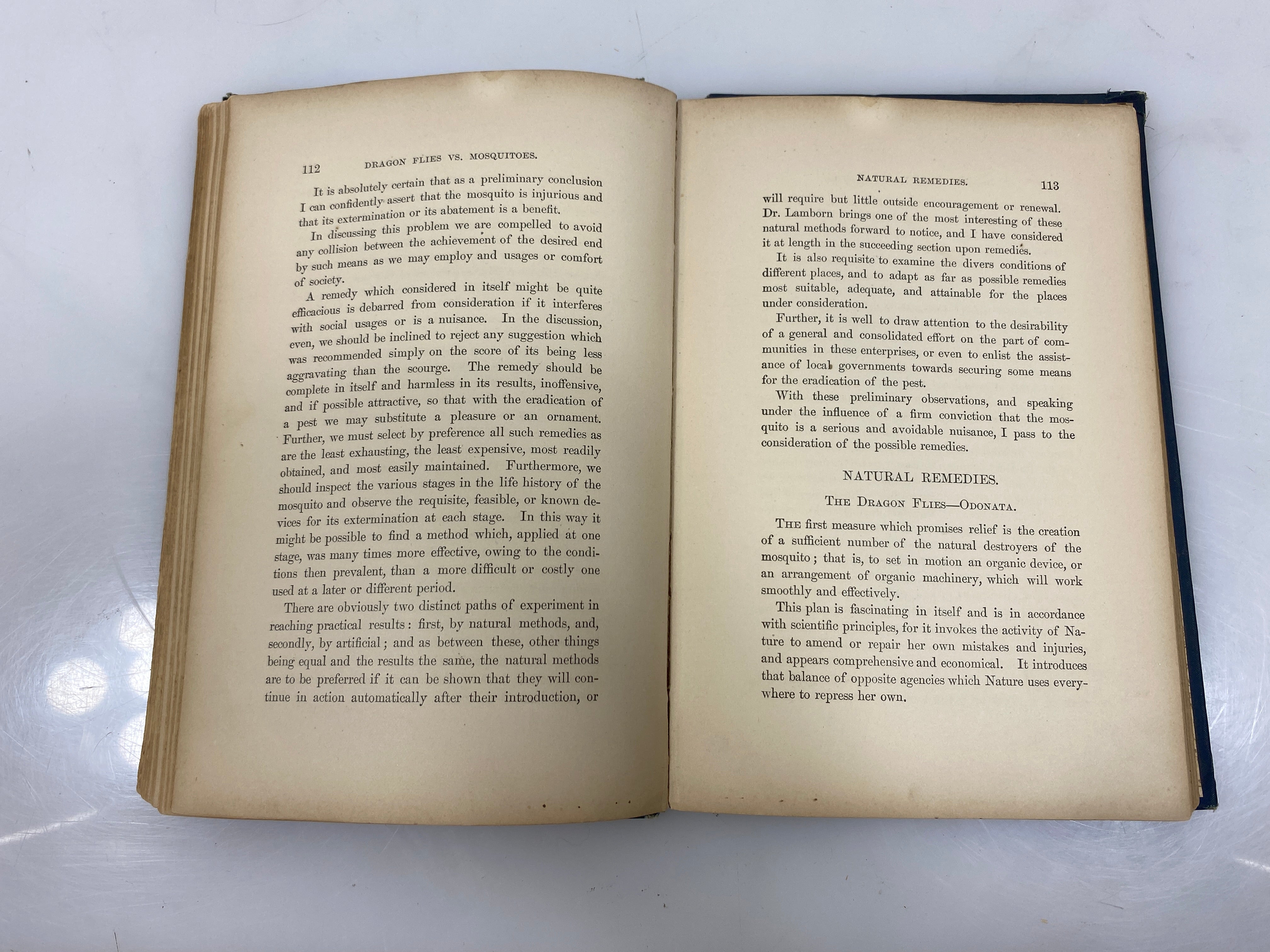 Dragon Flies vs Mosquitoes by Lamborn Ex-library 1890 HC