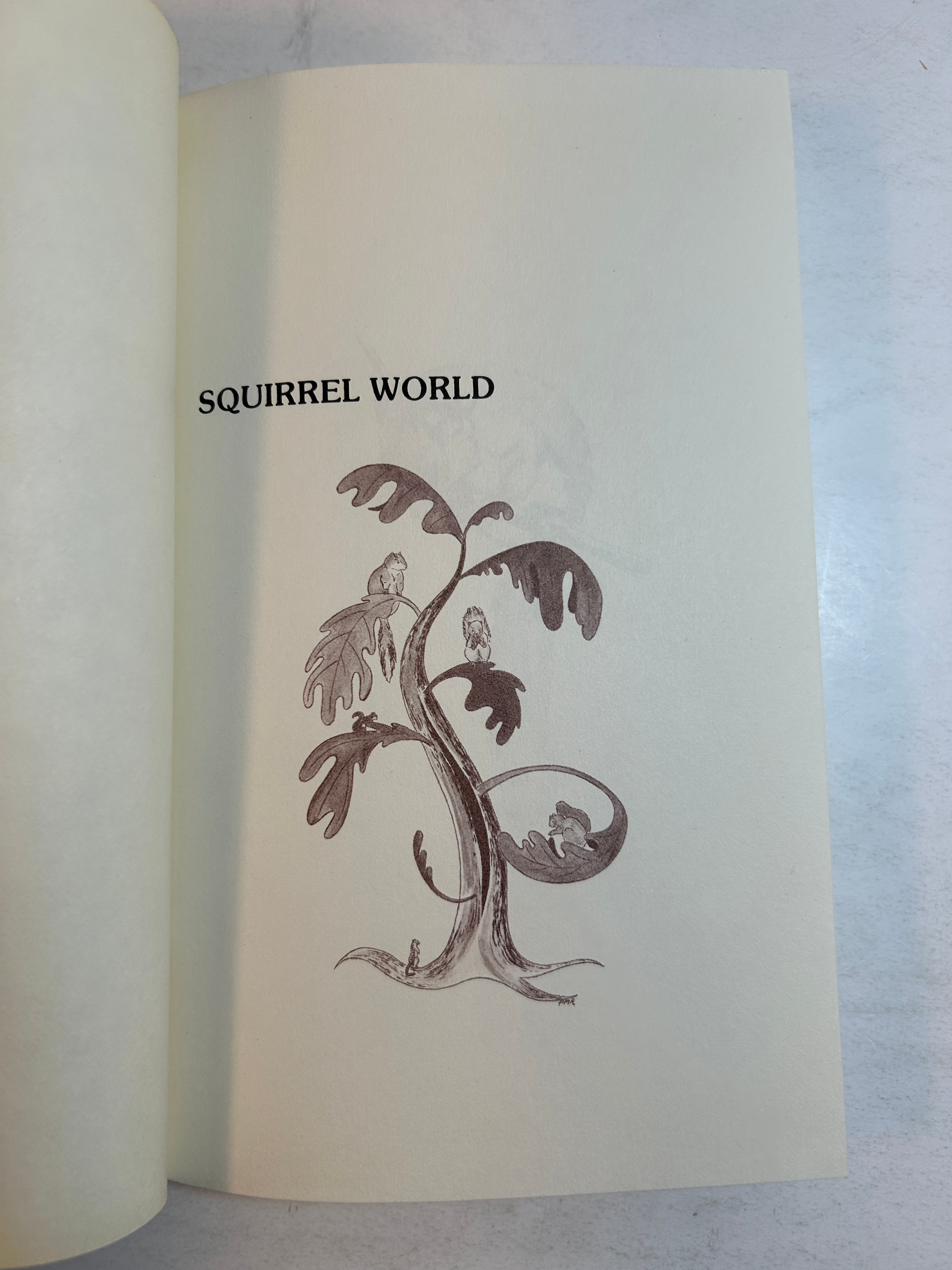 Squirrel World by M. Gorton Riethmiller *signed by illustrator* Harlo 1986 HC