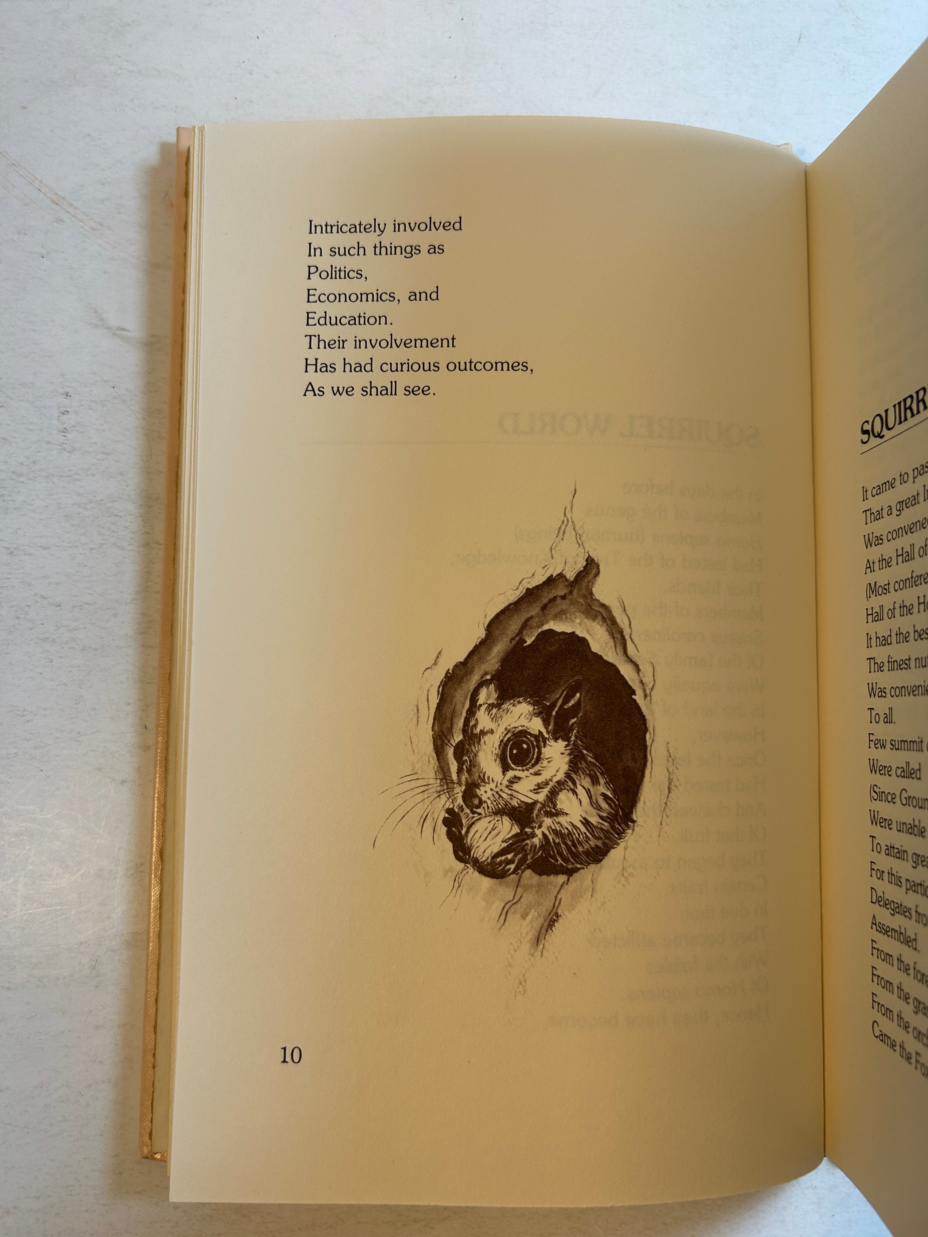 Squirrel World by M. Gorton Riethmiller *signed by illustrator* Harlo 1986 HC