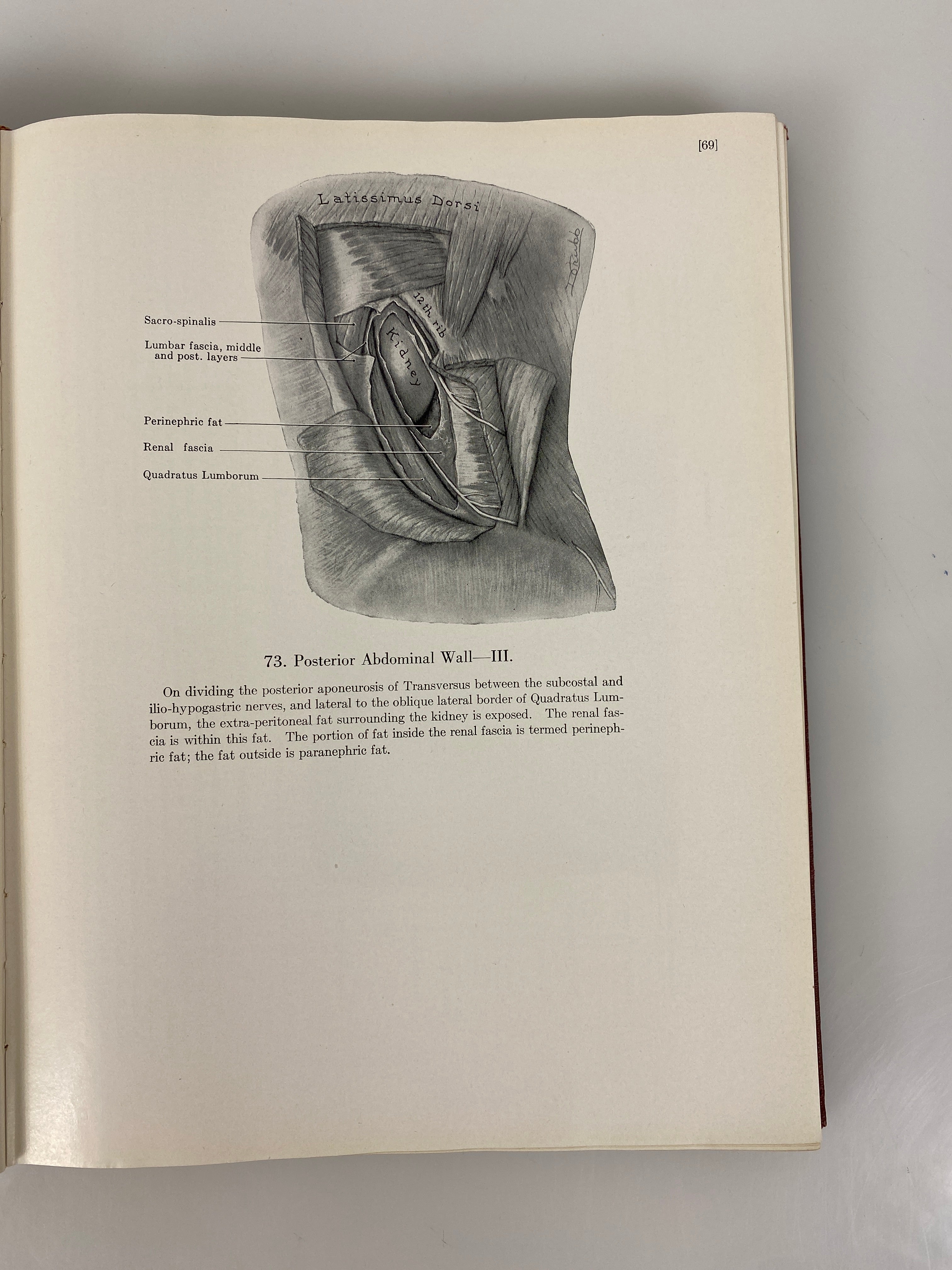 An Atlas of Anatomy JC Boileau Grant 1943 HC