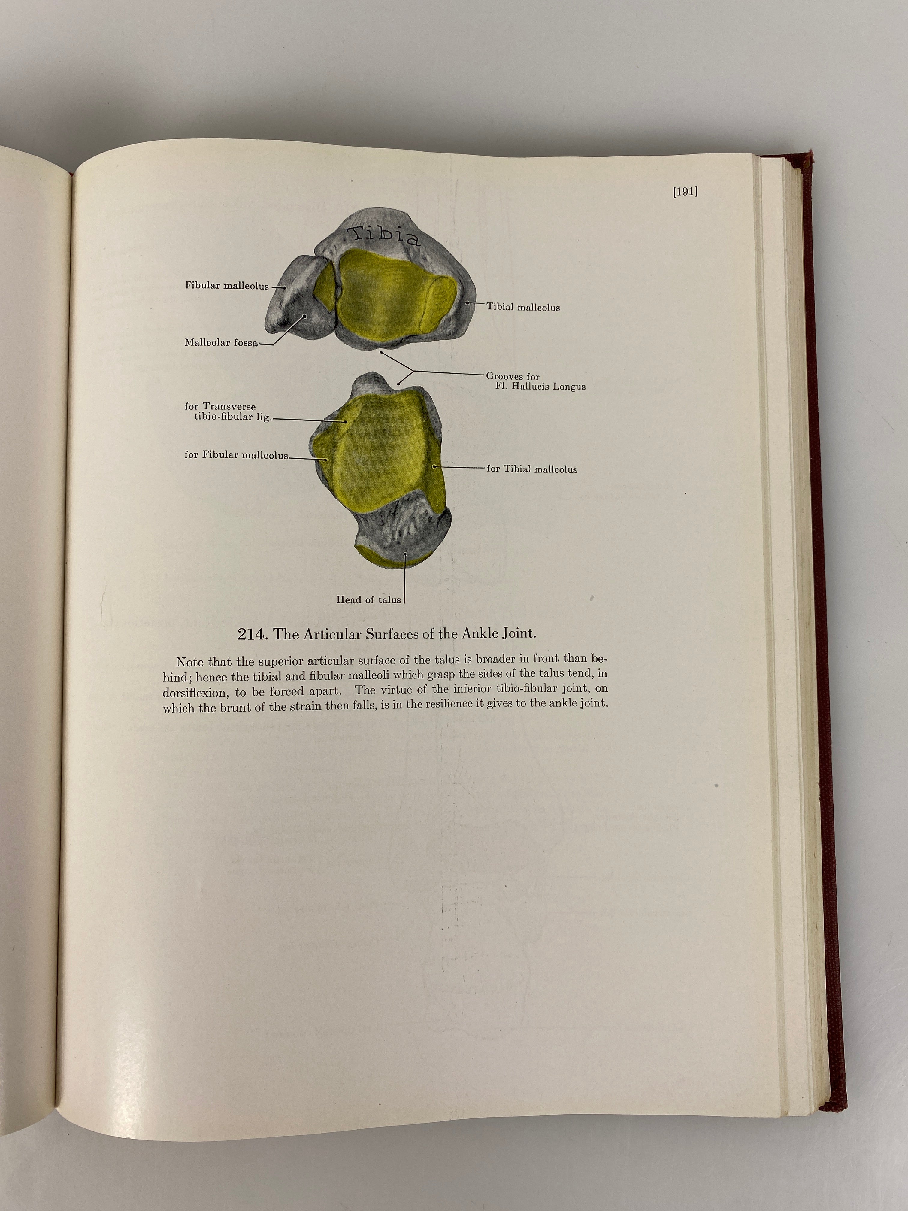 An Atlas of Anatomy JC Boileau Grant 1943 HC