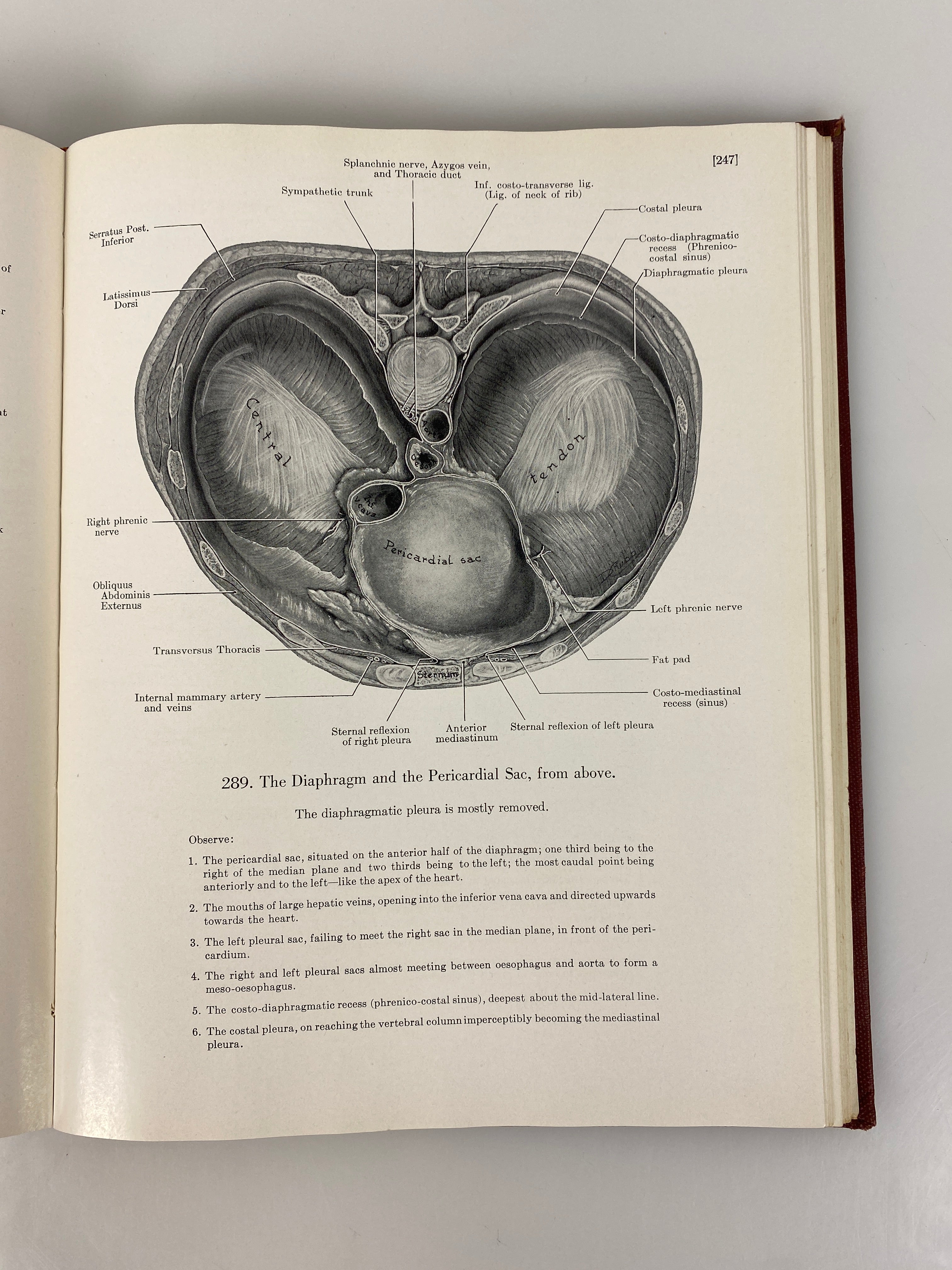 An Atlas of Anatomy JC Boileau Grant 1943 HC
