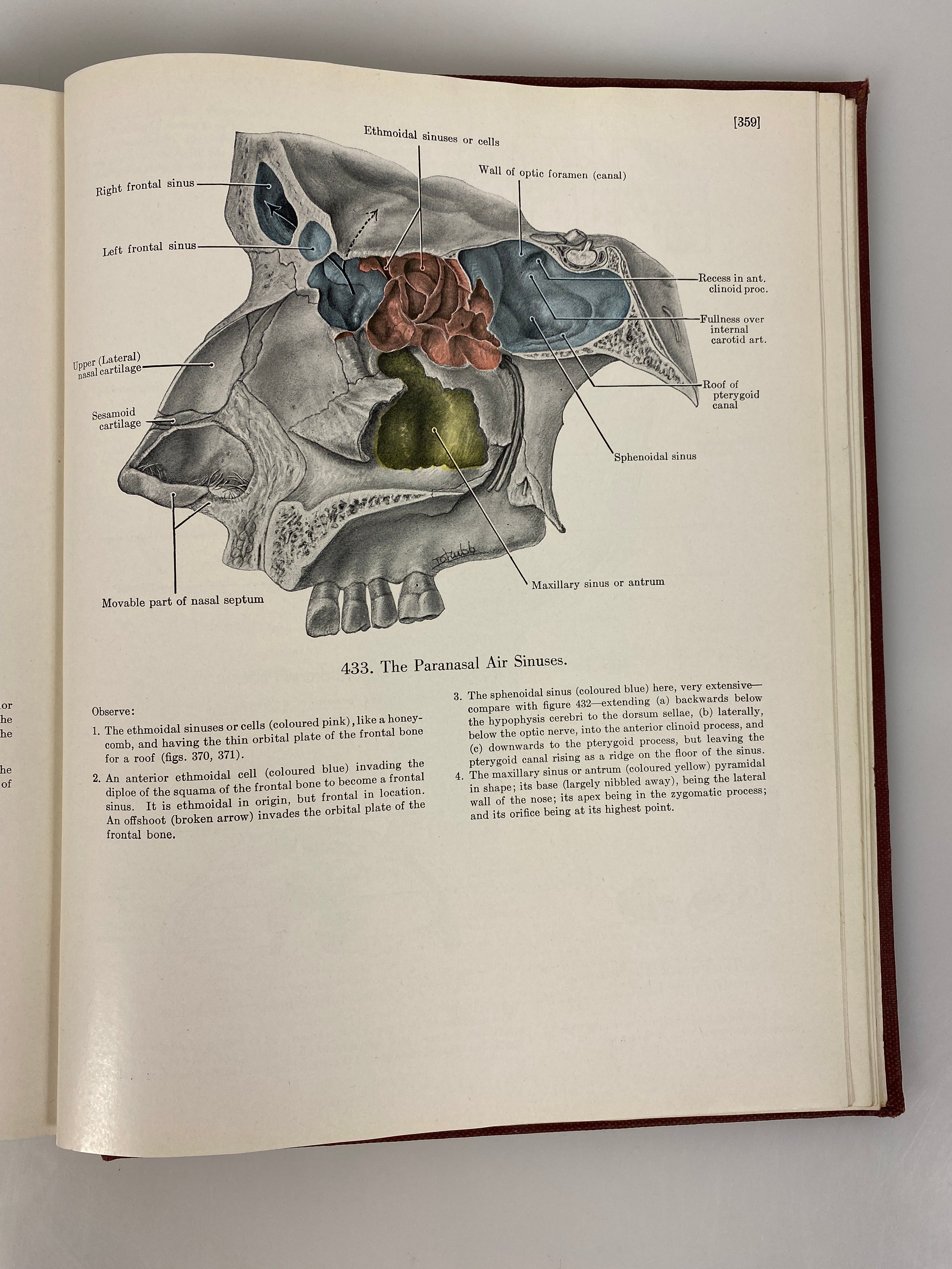 An Atlas of Anatomy JC Boileau Grant 1943 HC