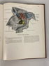 An Atlas of Anatomy JC Boileau Grant 1943 HC