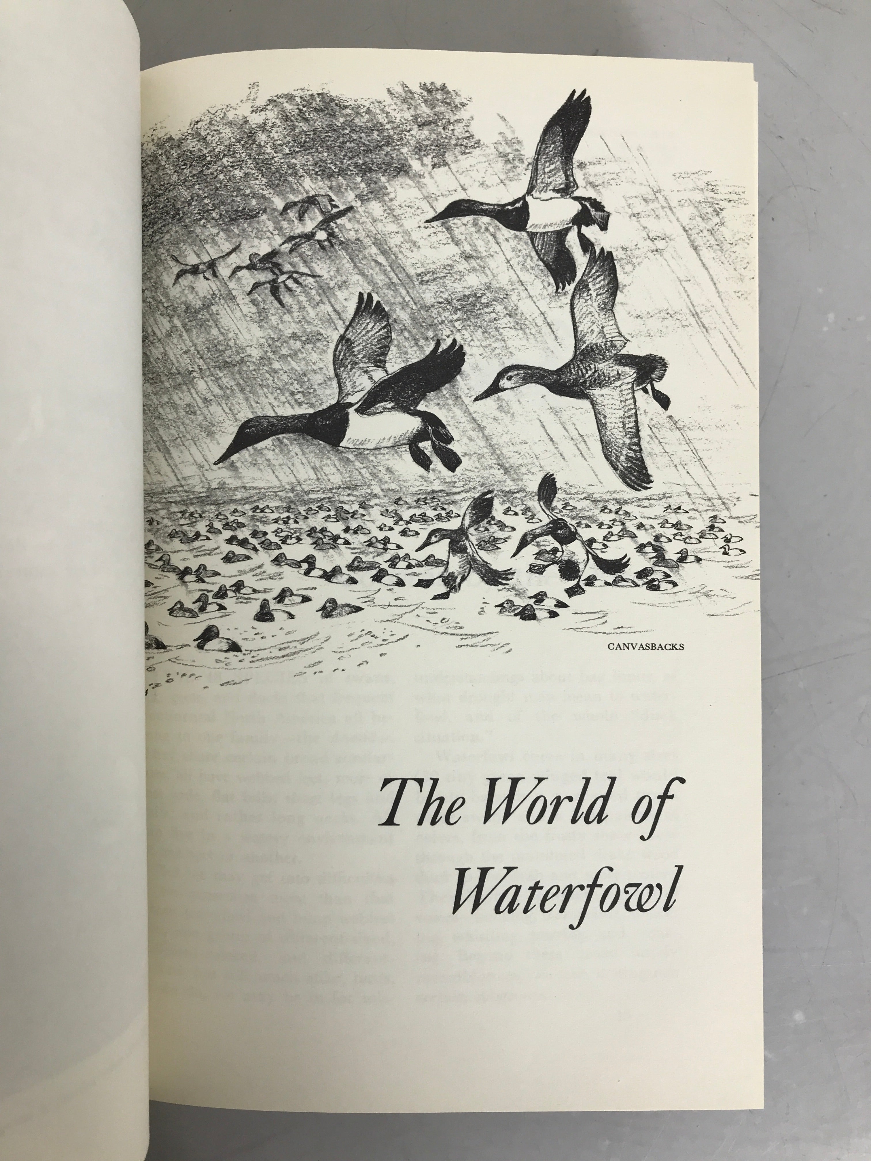 Lot of 3 Future of U.S. Waterfowl Books 1932-1964 HC