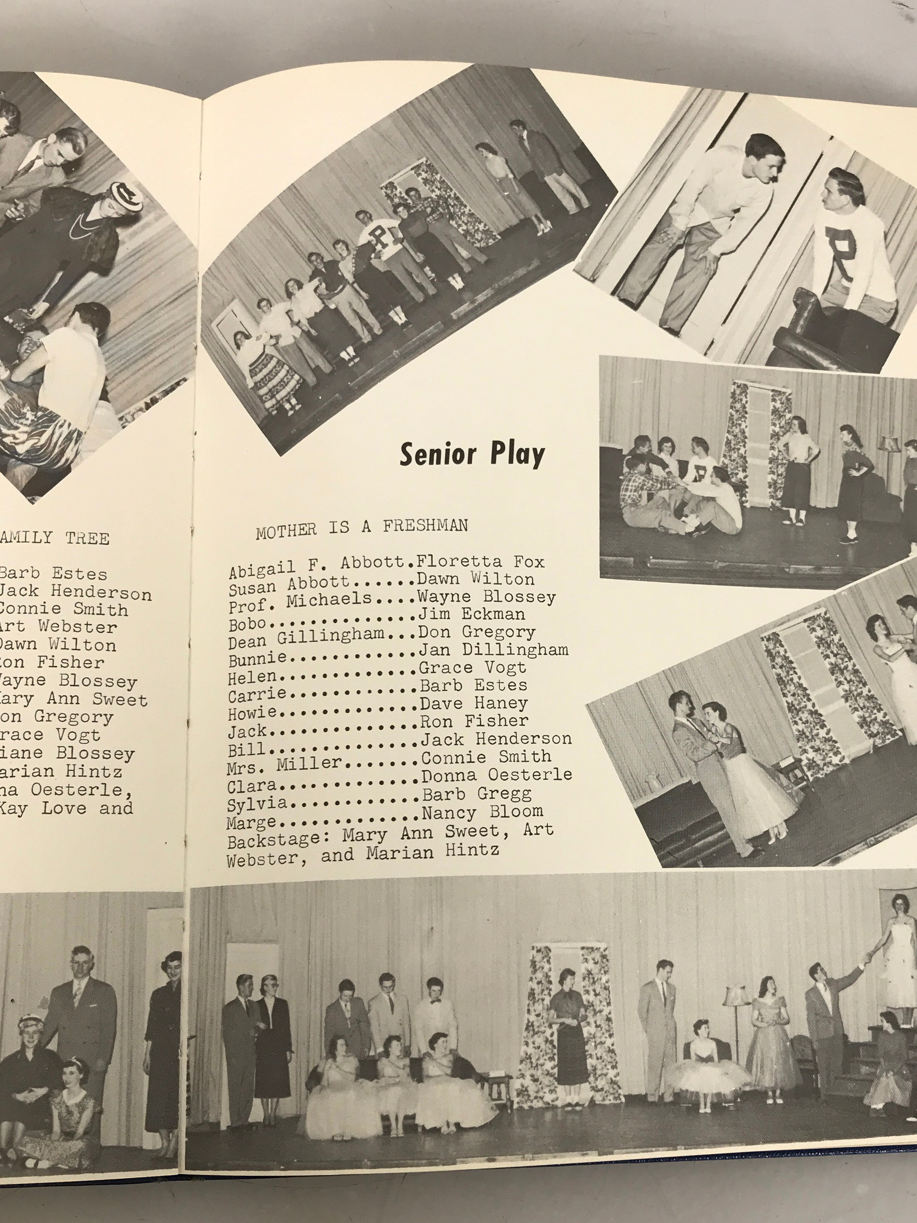 1954 Williamston High School Yearbook Williamston MIchigan