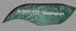 Michigan State University Extension Feather Flag Banner w/ Pole Kit & Carry Case
