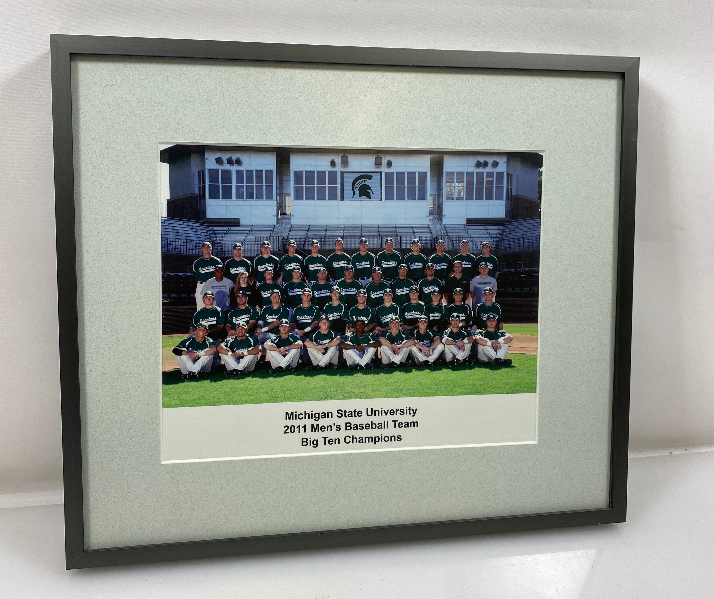 Michigan State University 2011 Men's Baseball Team--Big Ten Champions Photograph