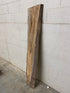 MSU Shadows Unknown Species Slab Wood #25