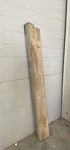 MSU Shadows Unknown Species Slab Wood #30