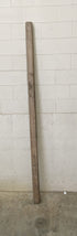 MSU Shadows Unknown Species Slab Wood #31