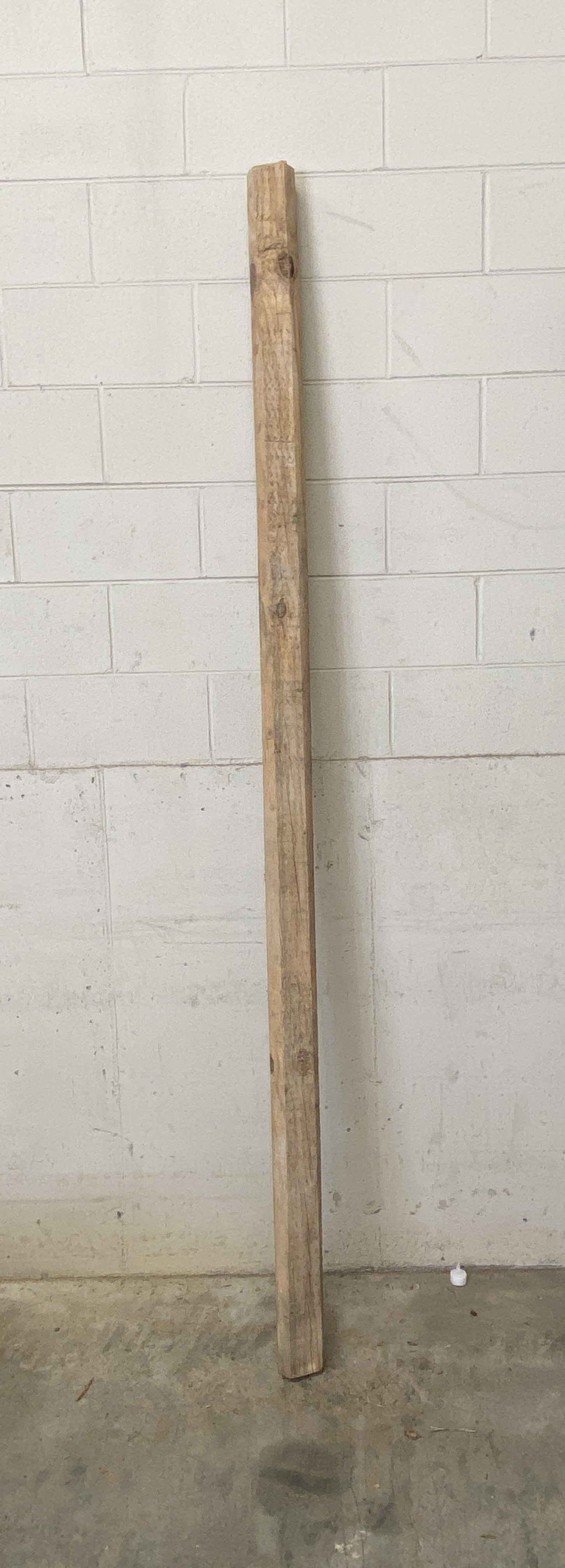 MSU Shadows Unknown Species Slab Wood #32