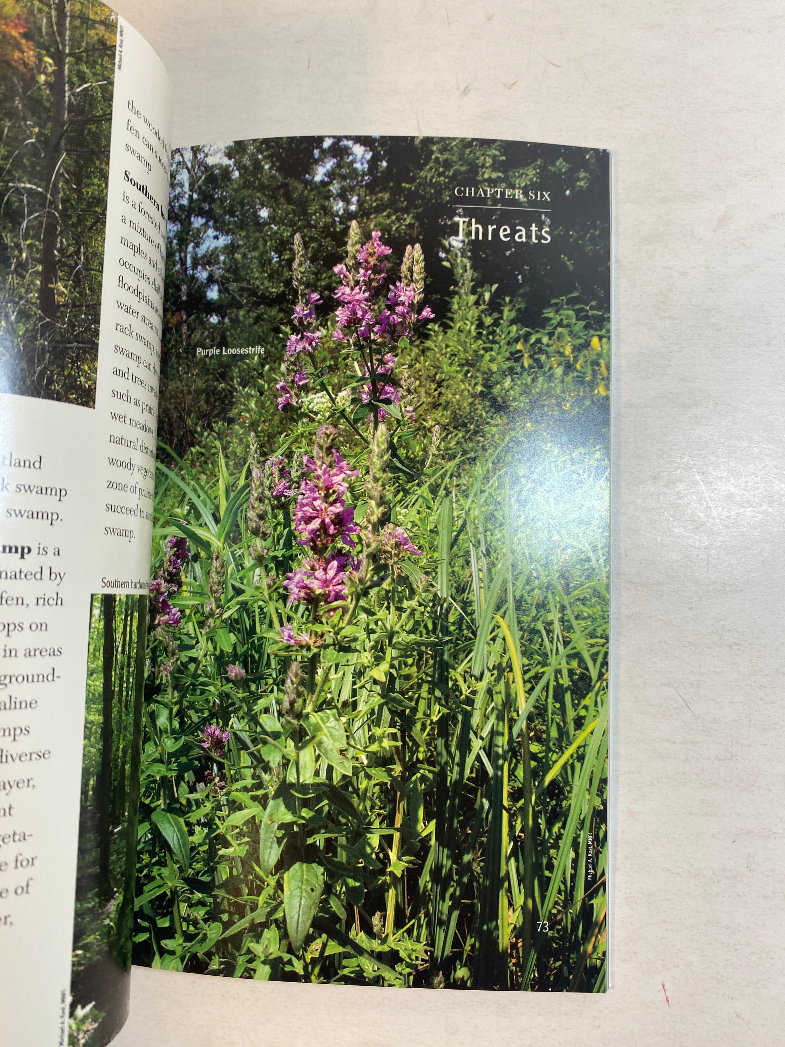 Exploring the Prairie Fen Wetlands of Michigan 2009 SC *Signed*