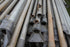 Irrigation Pipe Lot #4