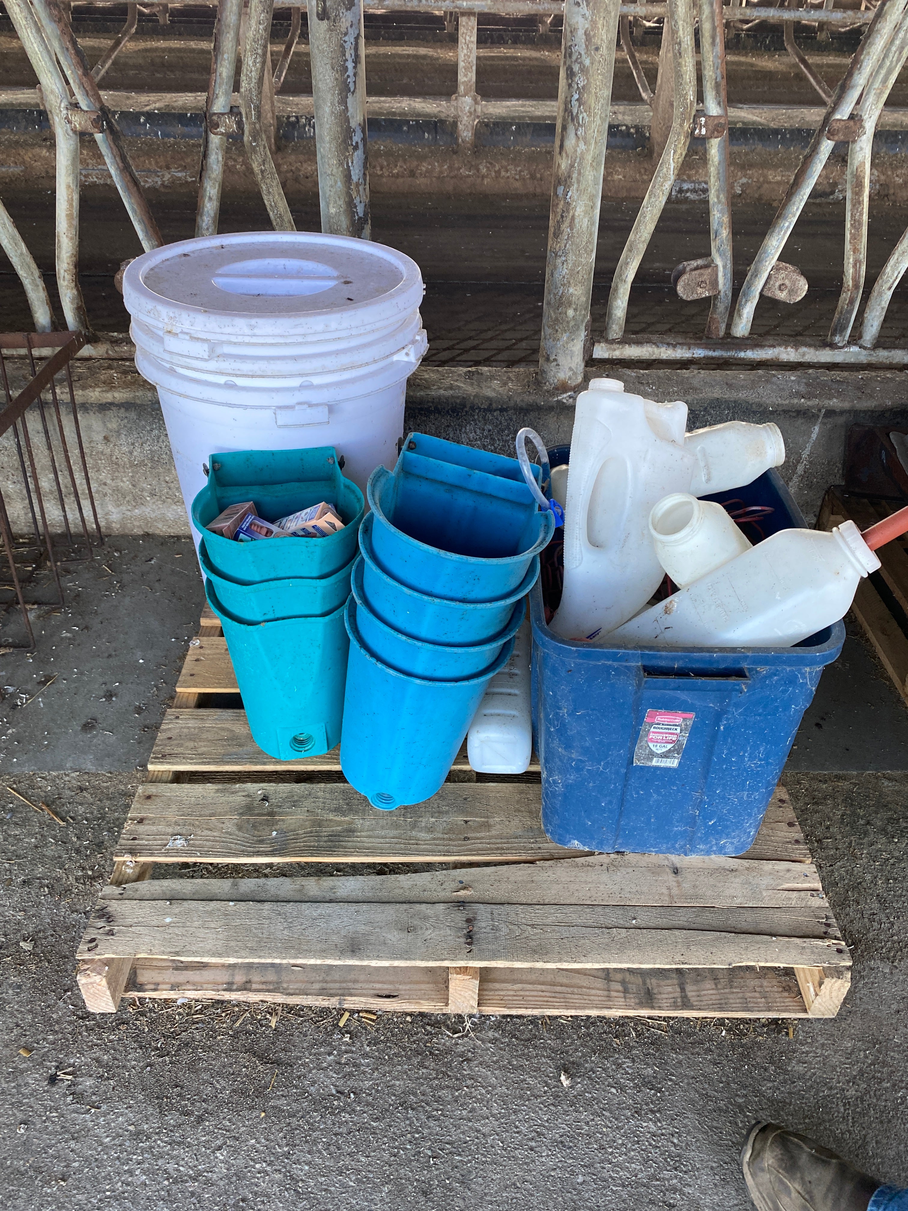 Lot of Peach Teats Feeder Buckets and Assorted Calf Bottles