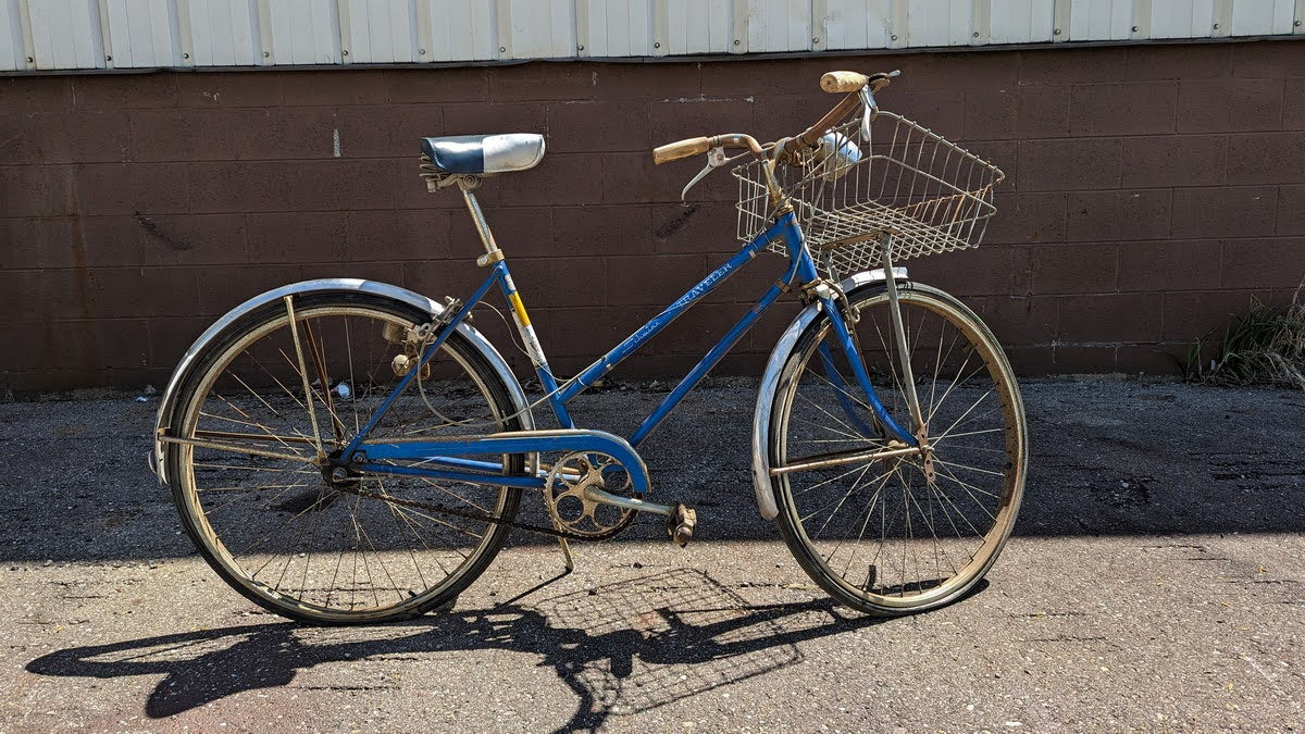 Schwinn Traveler Blue