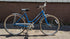 Schwinn Collegiate 3 Blue 17 - 19"