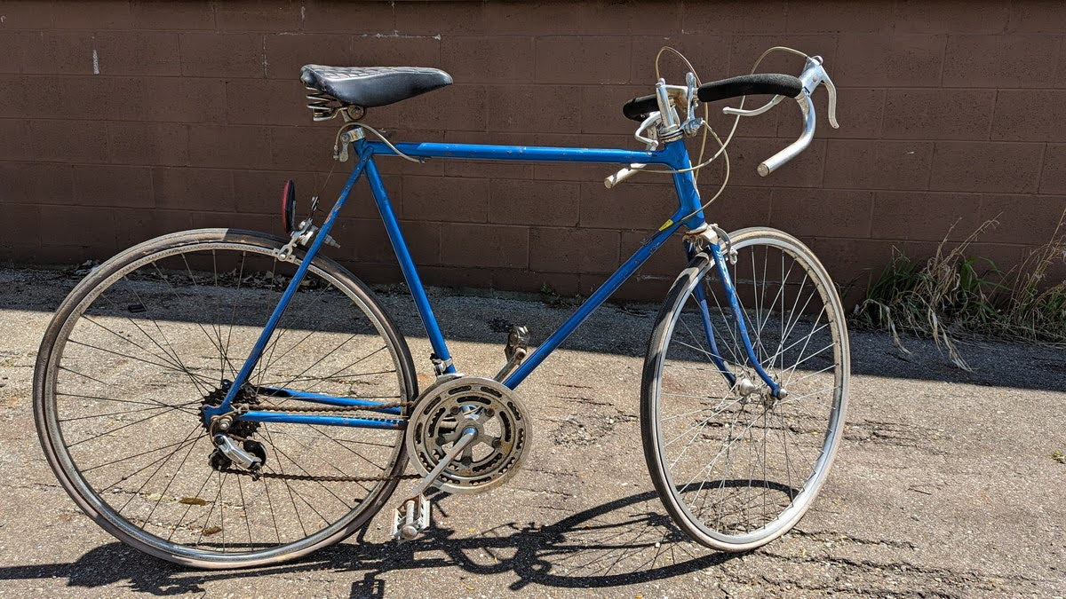 Schwinn Varsity Blue 22-23"