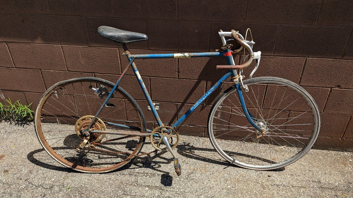 Schwinn Varsity Blue