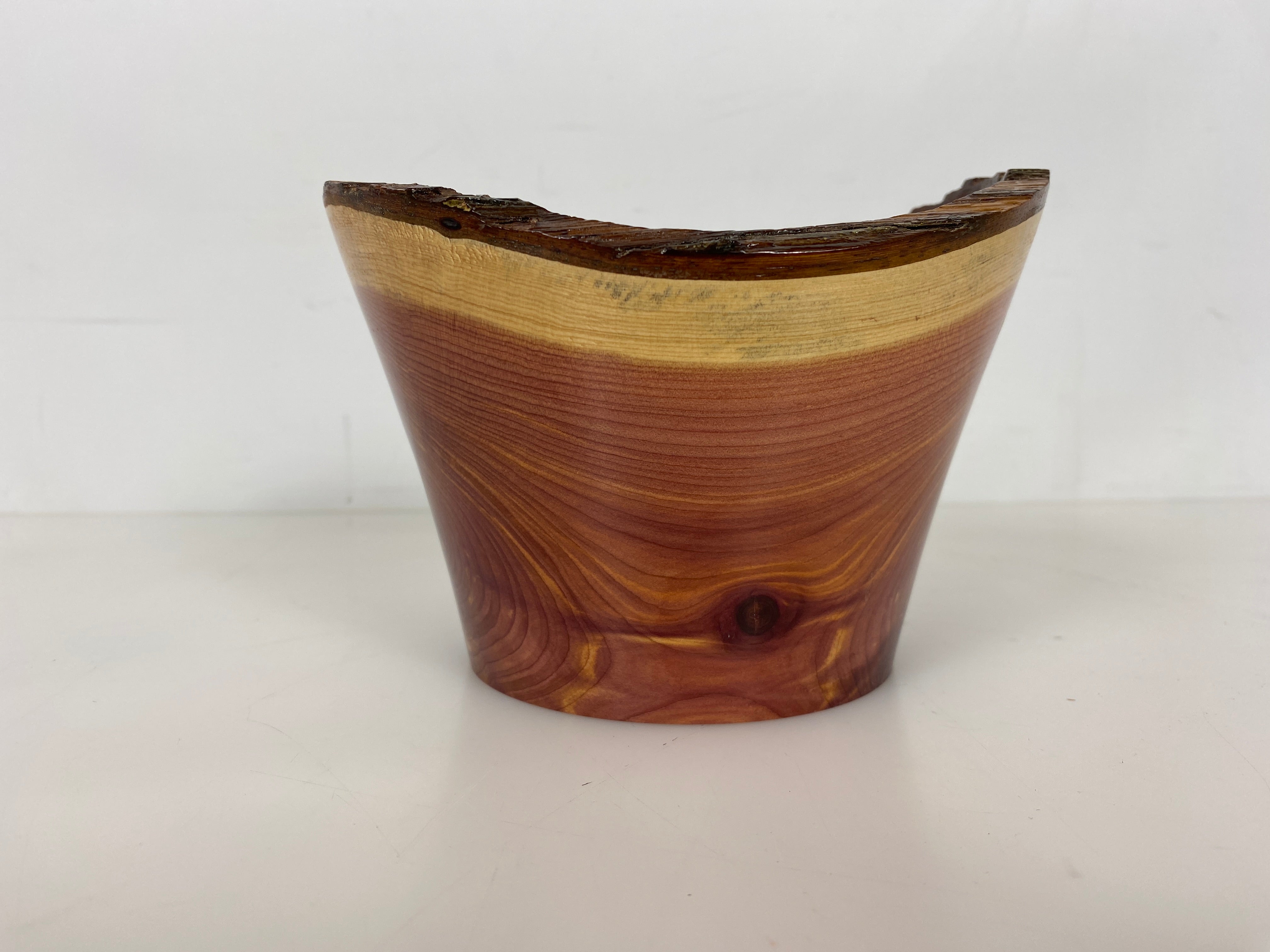 MSU Shadows Red Cedar Bowl #042