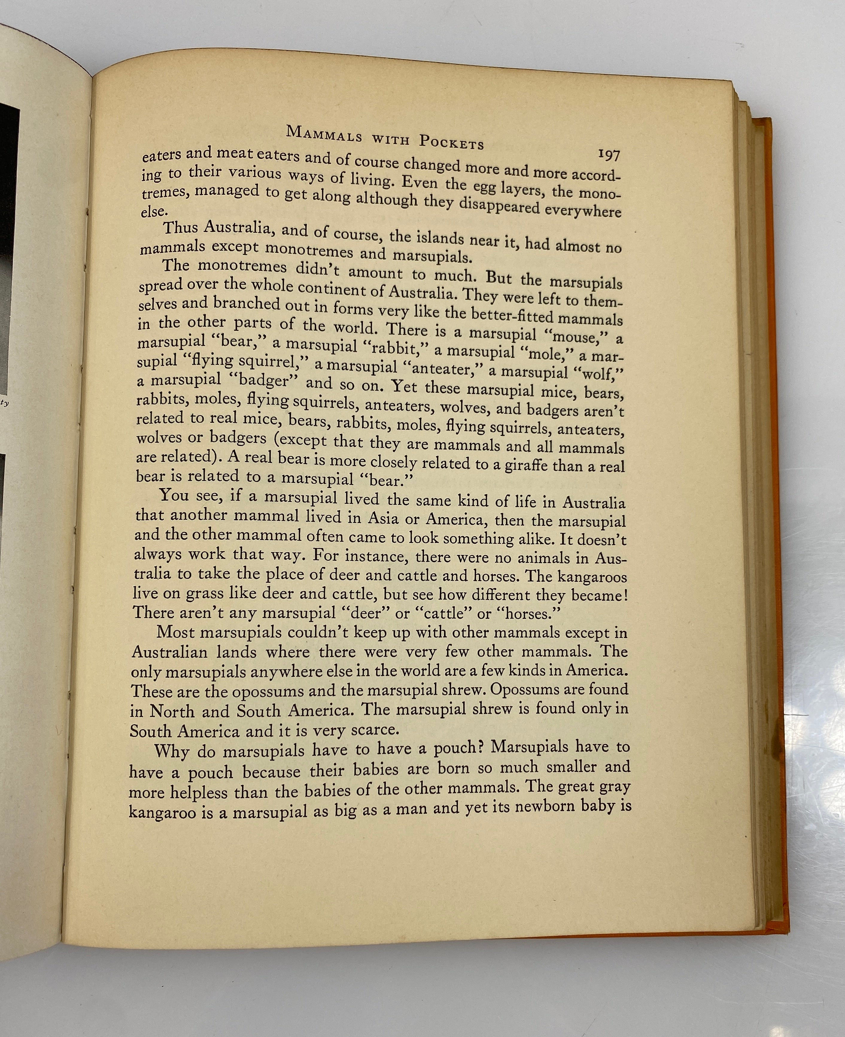 A Child's Story of the Animal World by Edward Huey 1935 Vintage HC