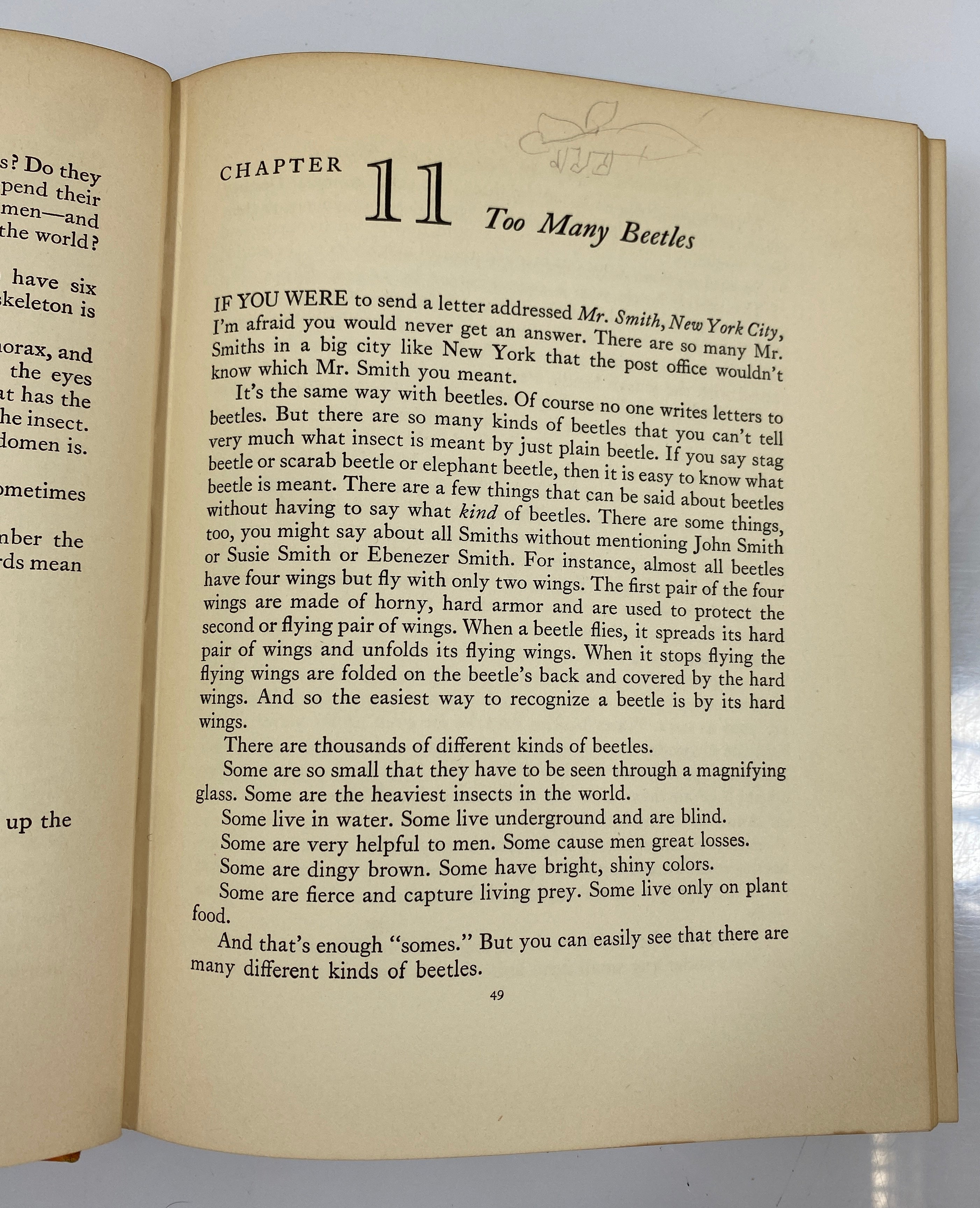 A Child's Story of the Animal World by Edward Huey 1935 Vintage HC