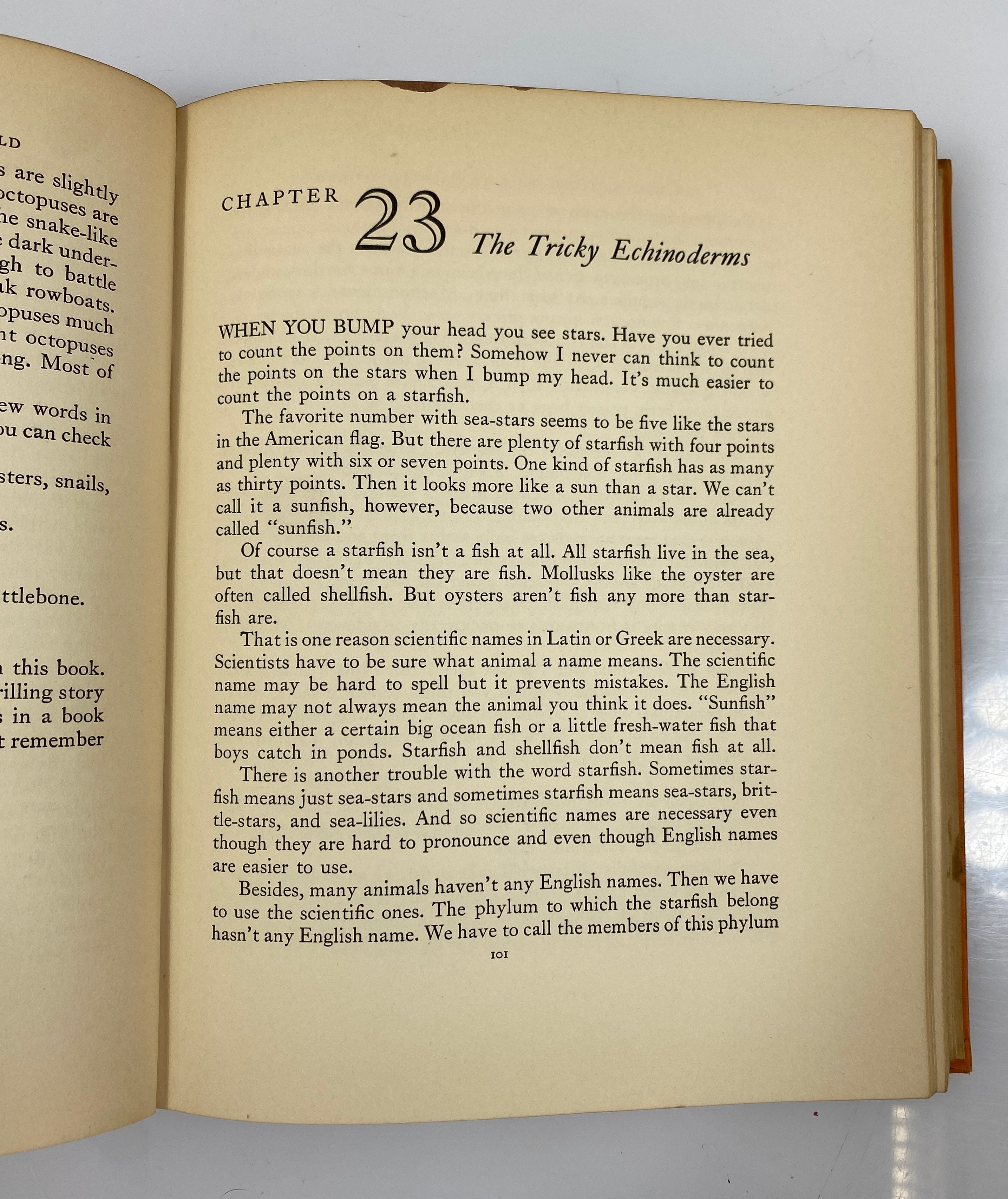 A Child's Story of the Animal World by Edward Huey 1935 Vintage HC