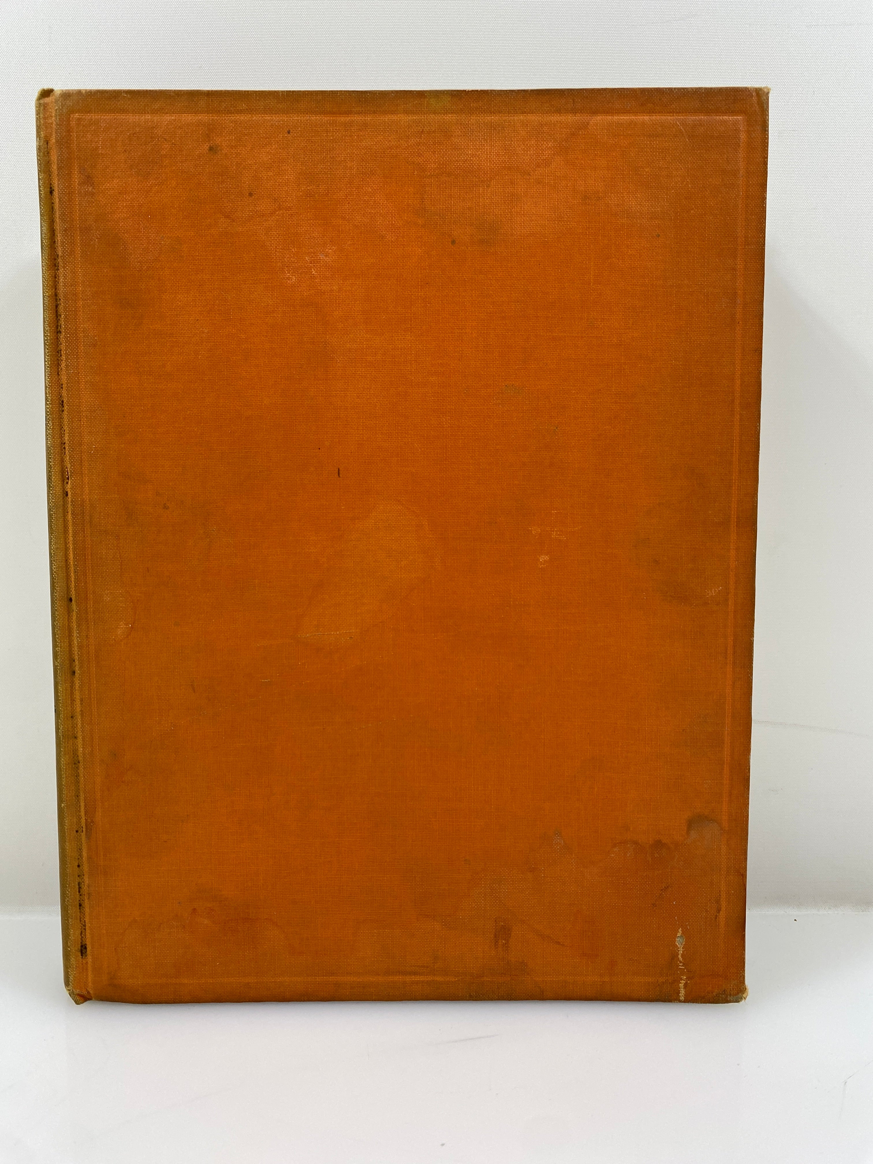 A Child's Story of the Animal World by Edward Huey 1935 Vintage HC