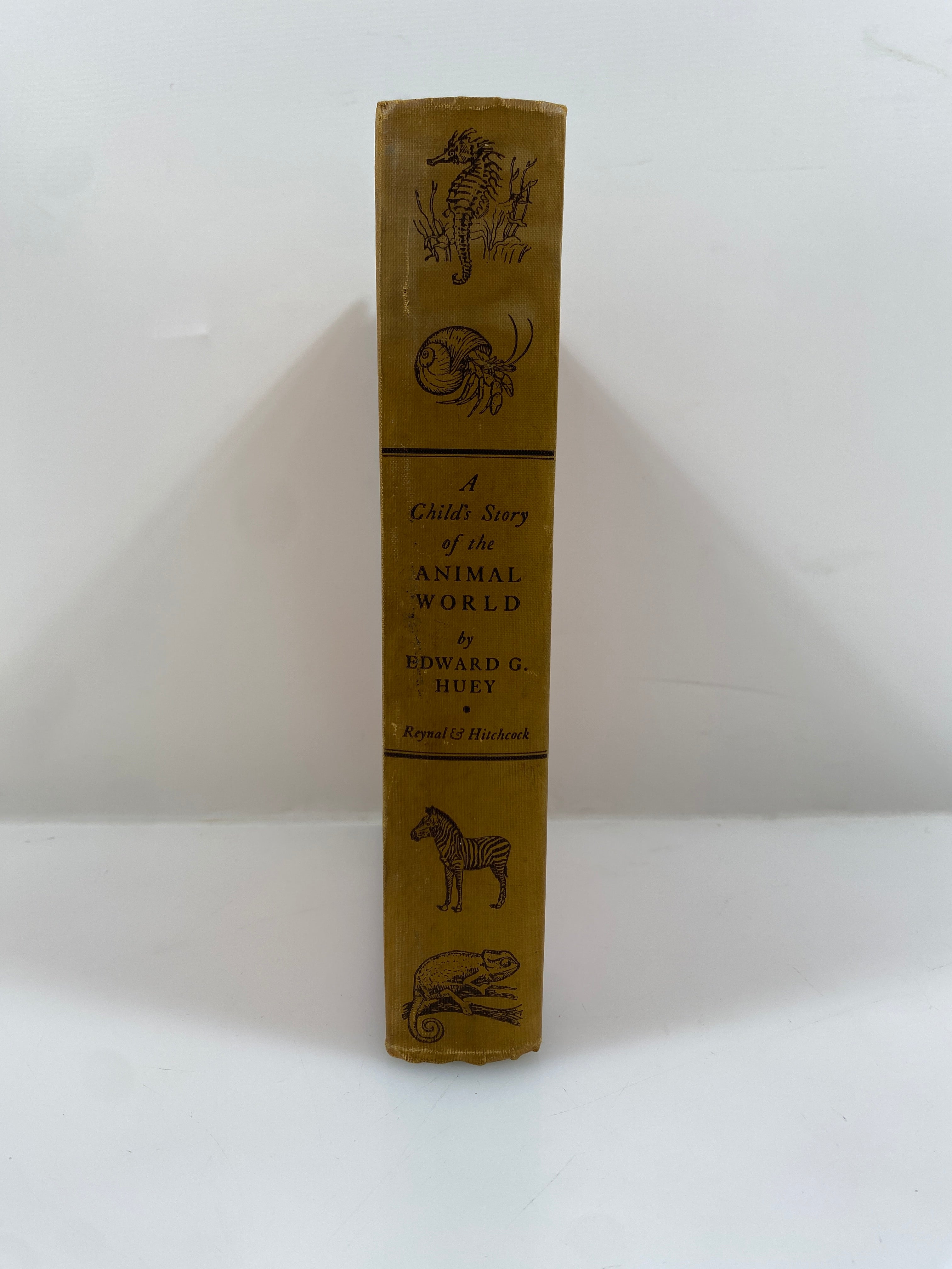 A Child's Story of the Animal World by Edward Huey 1935 Vintage HC