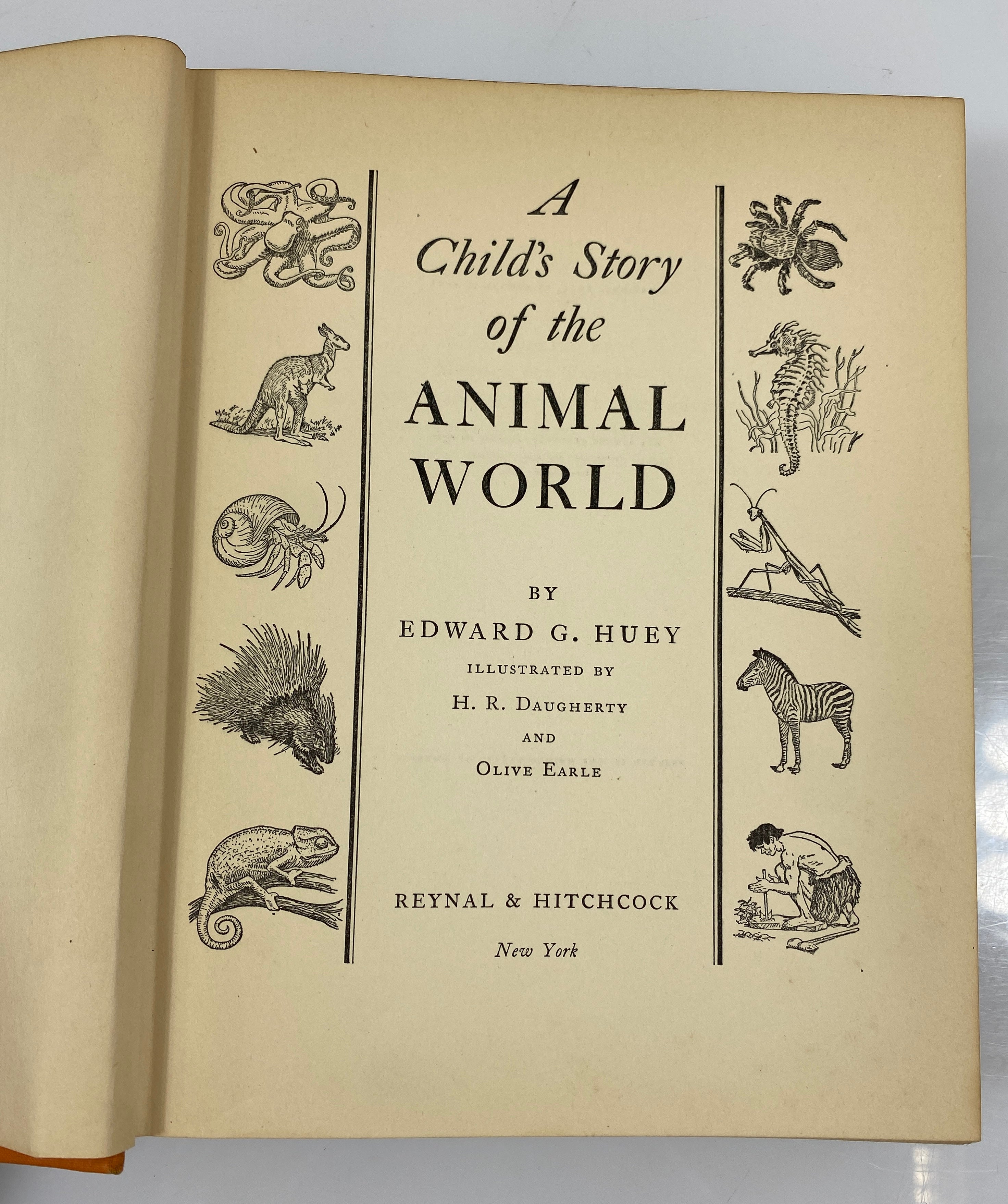 A Child's Story of the Animal World by Edward Huey 1935 Vintage HC