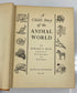 A Child's Story of the Animal World by Edward Huey 1935 Vintage HC