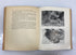A Child's Story of the Animal World by Edward Huey 1935 Vintage HC