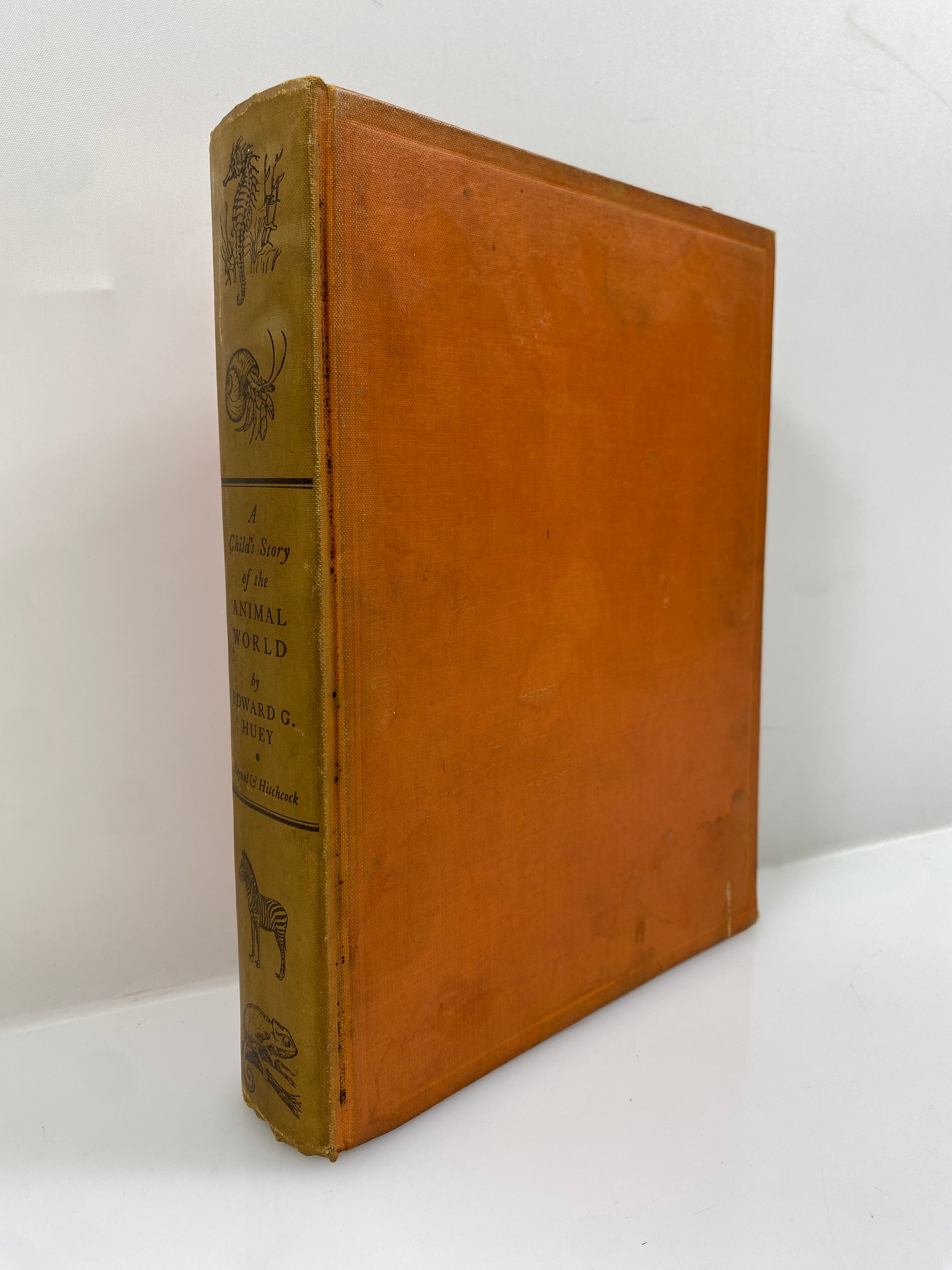 A Child's Story of the Animal World by Edward Huey 1935 Vintage HC
