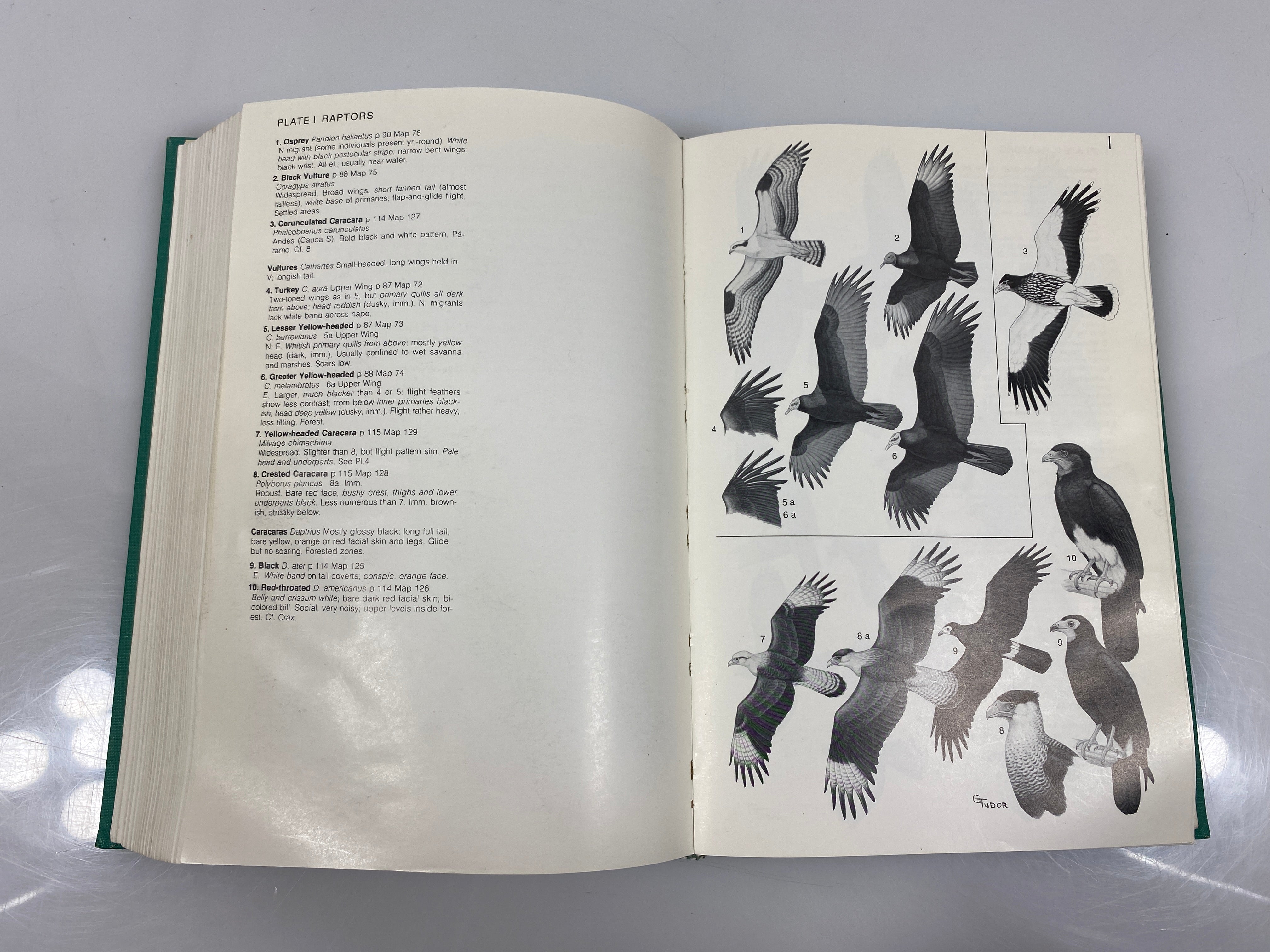 A Guide to the Birds of Colmbia Hilty/Brown Ex-library 1986 HC