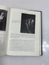 A History of Western Art by John Ives Sewall 1963 HC
