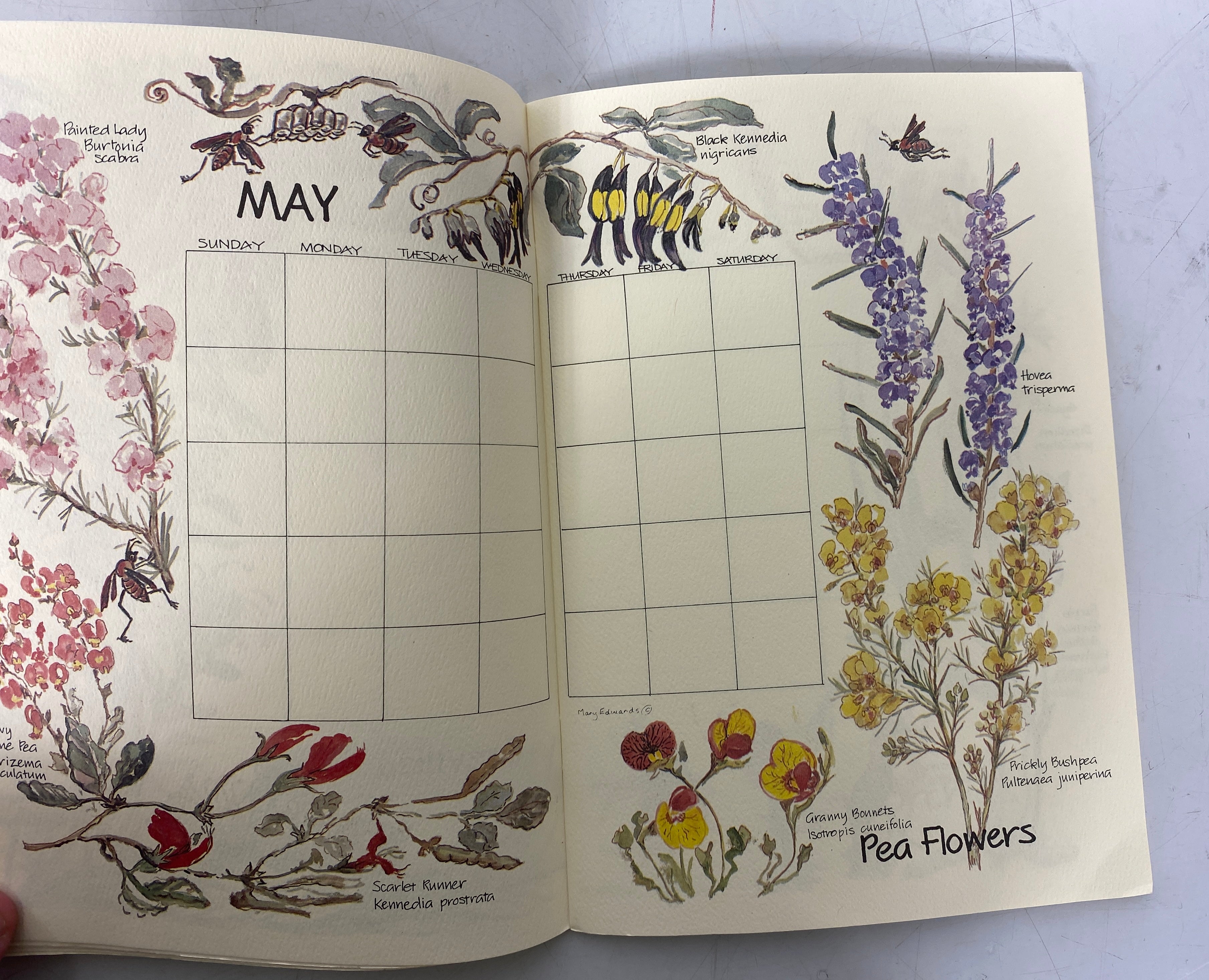 A Perpetual Calendar Wild Flowers of Australia by Mary Edwards Clean SC