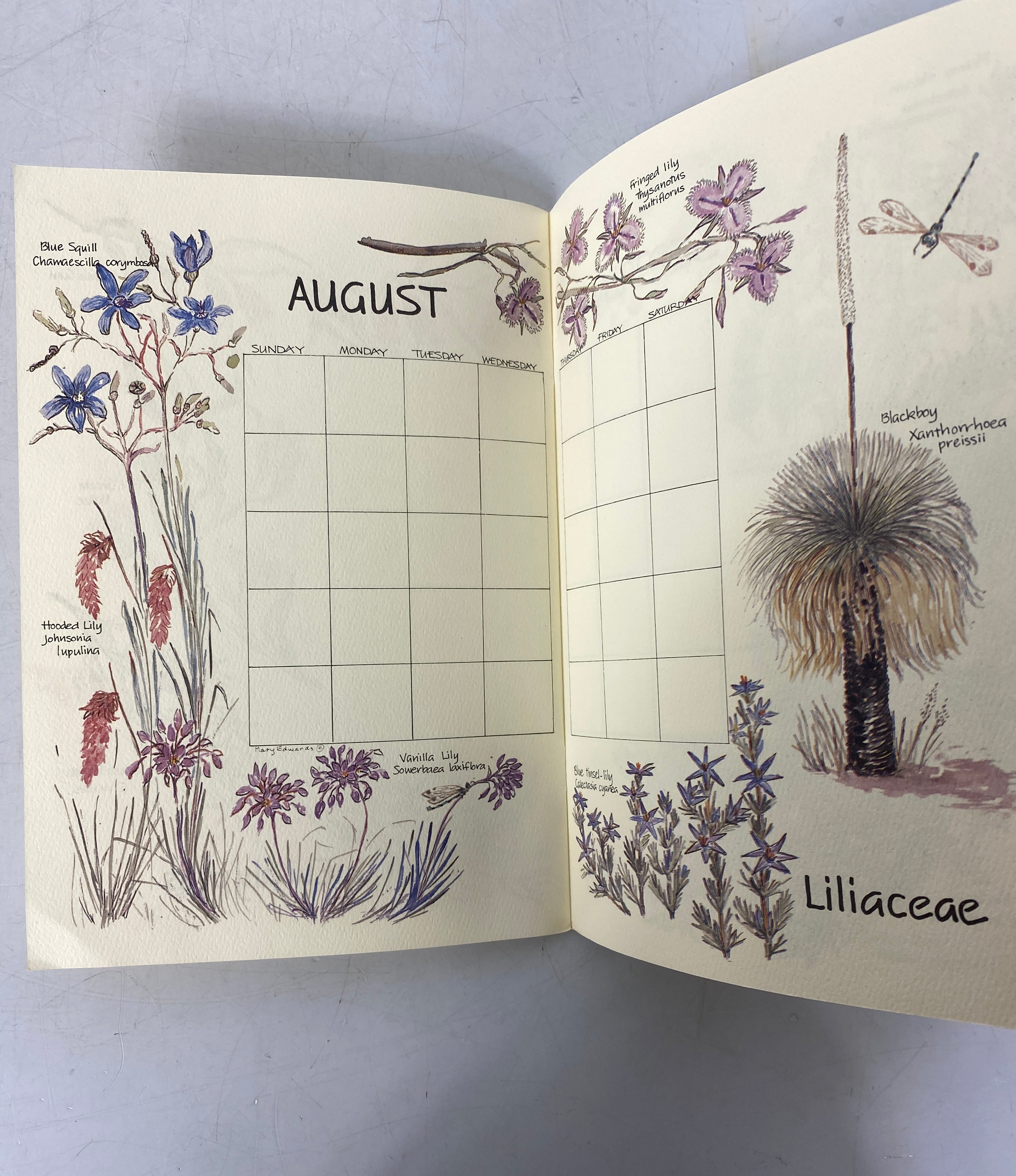 A Perpetual Calendar Wild Flowers of Australia by Mary Edwards Clean SC