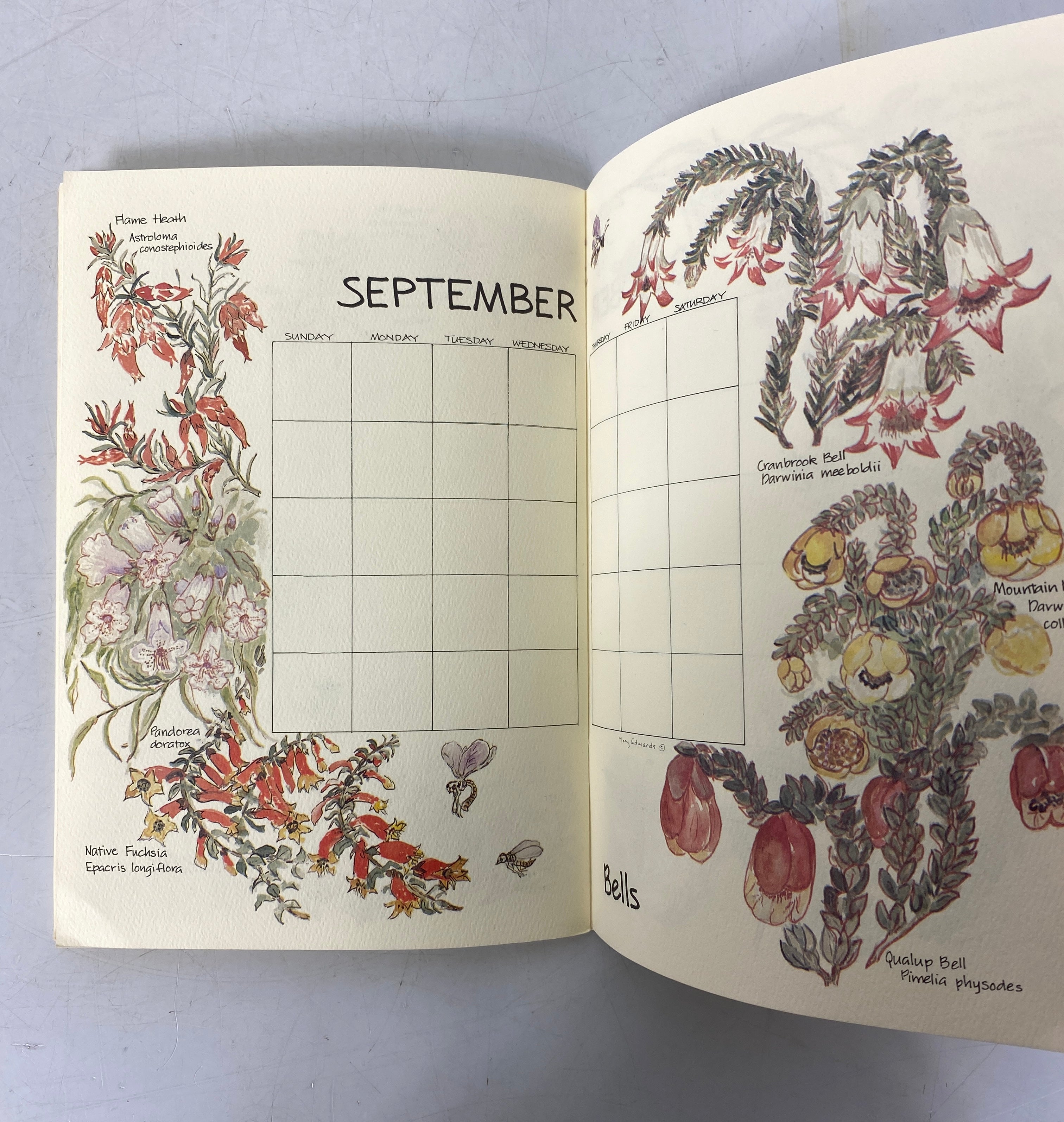 A Perpetual Calendar Wild Flowers of Australia by Mary Edwards Clean SC