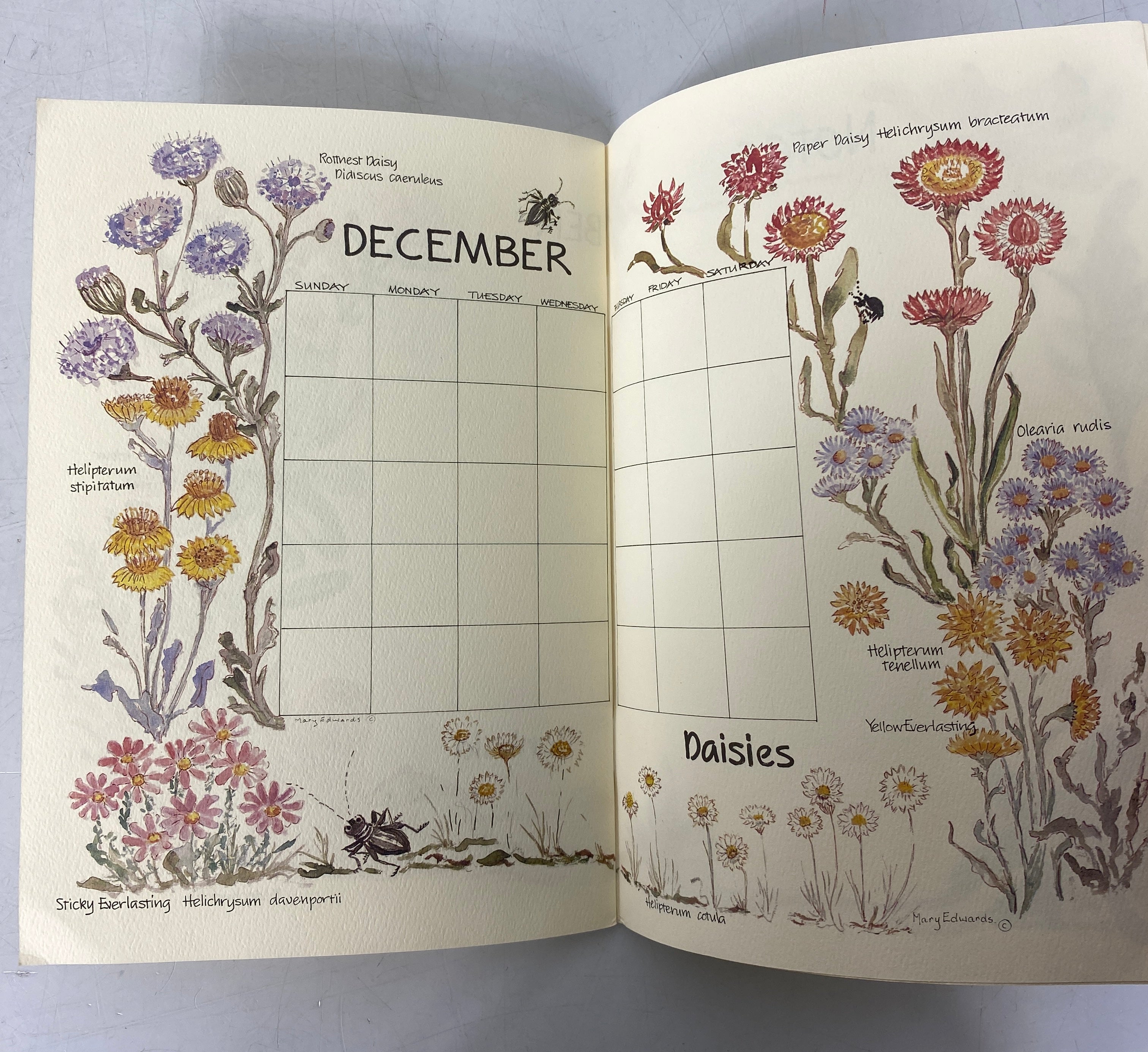 A Perpetual Calendar Wild Flowers of Australia by Mary Edwards Clean SC